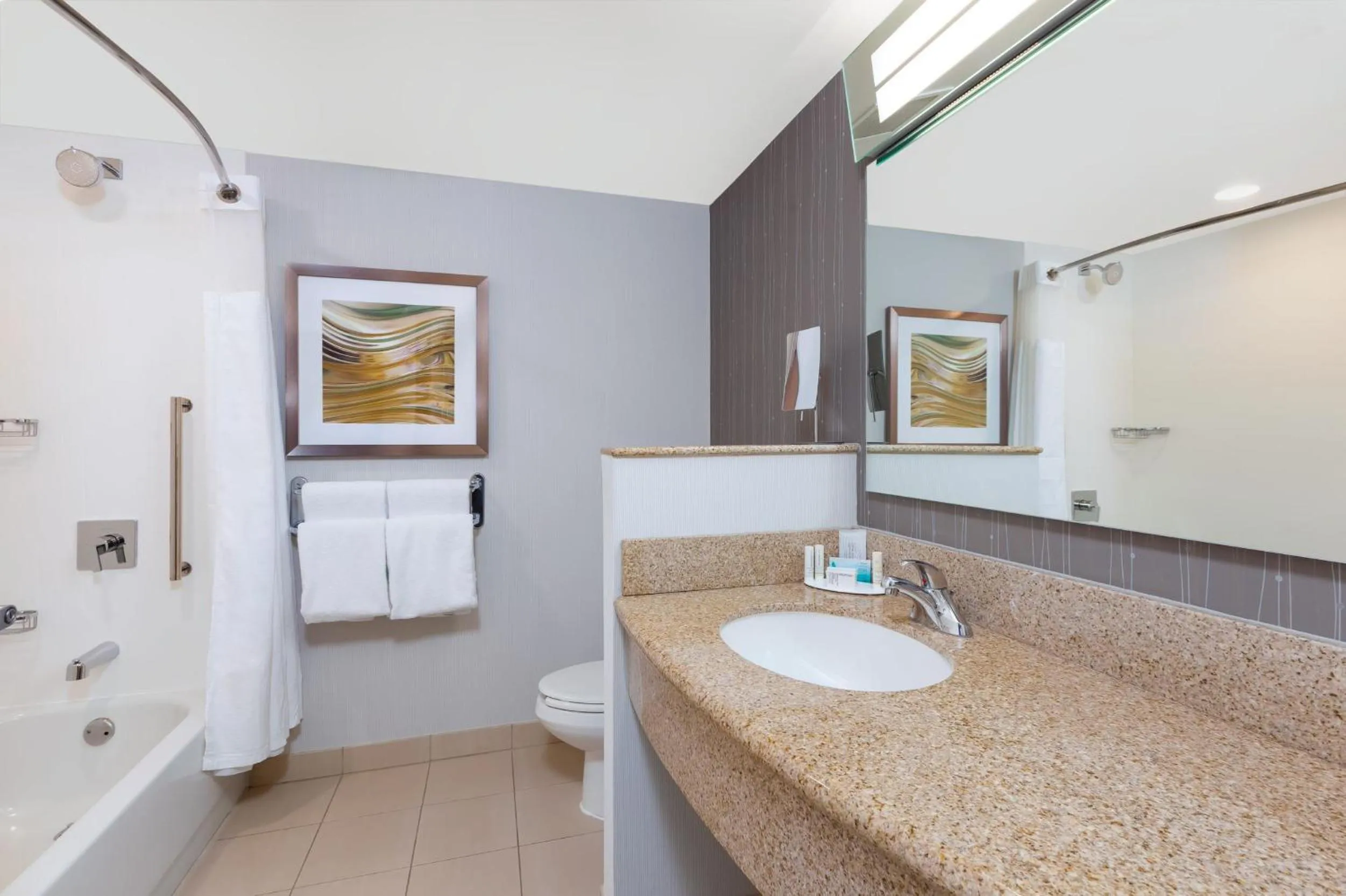 Bathroom in Courtyard by Marriott Dallas Allen at Allen Event Center