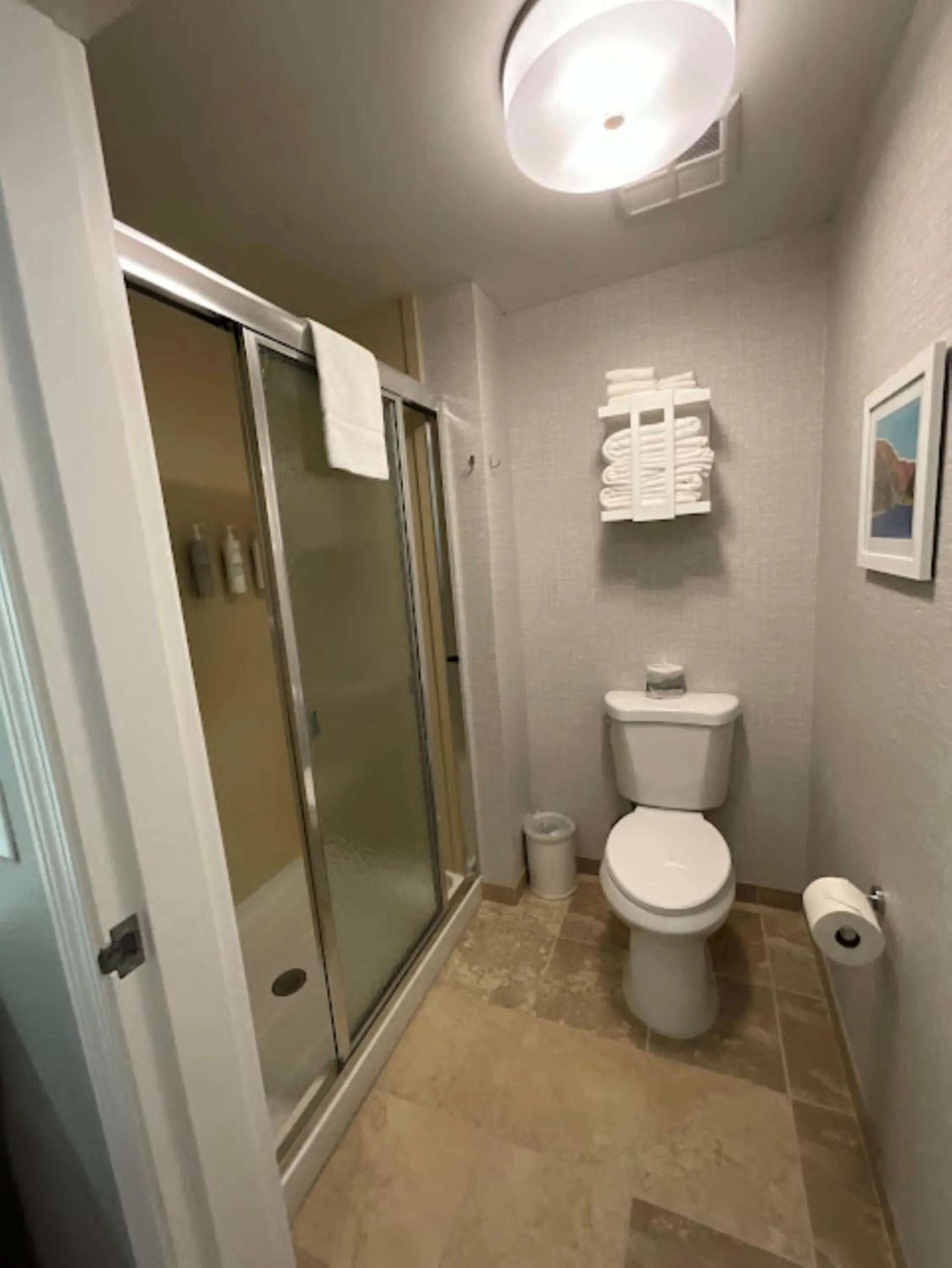 Shower in Hampton Inn by Hilton Montrose