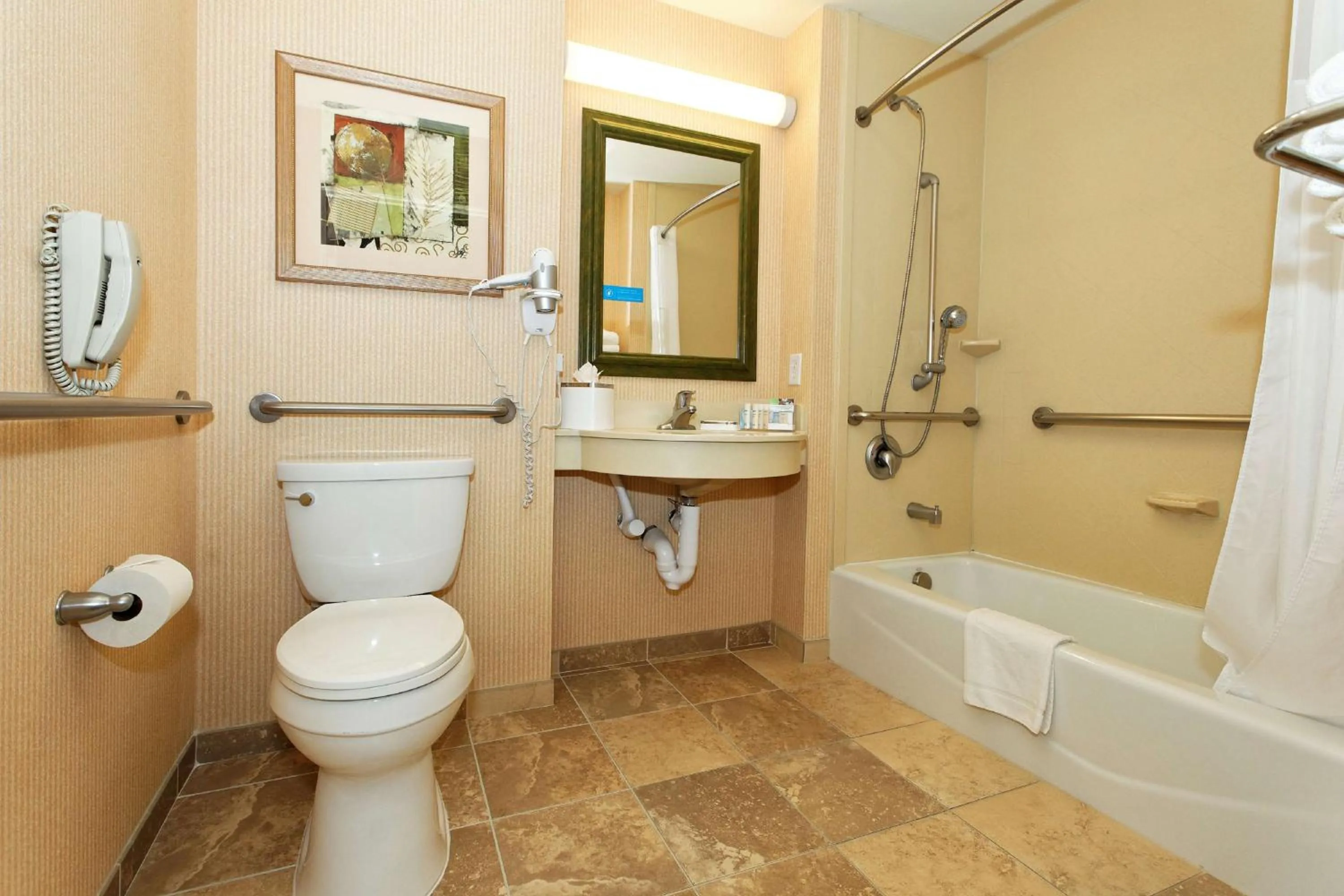 Bathroom in Hampton Inn by Hilton Montrose