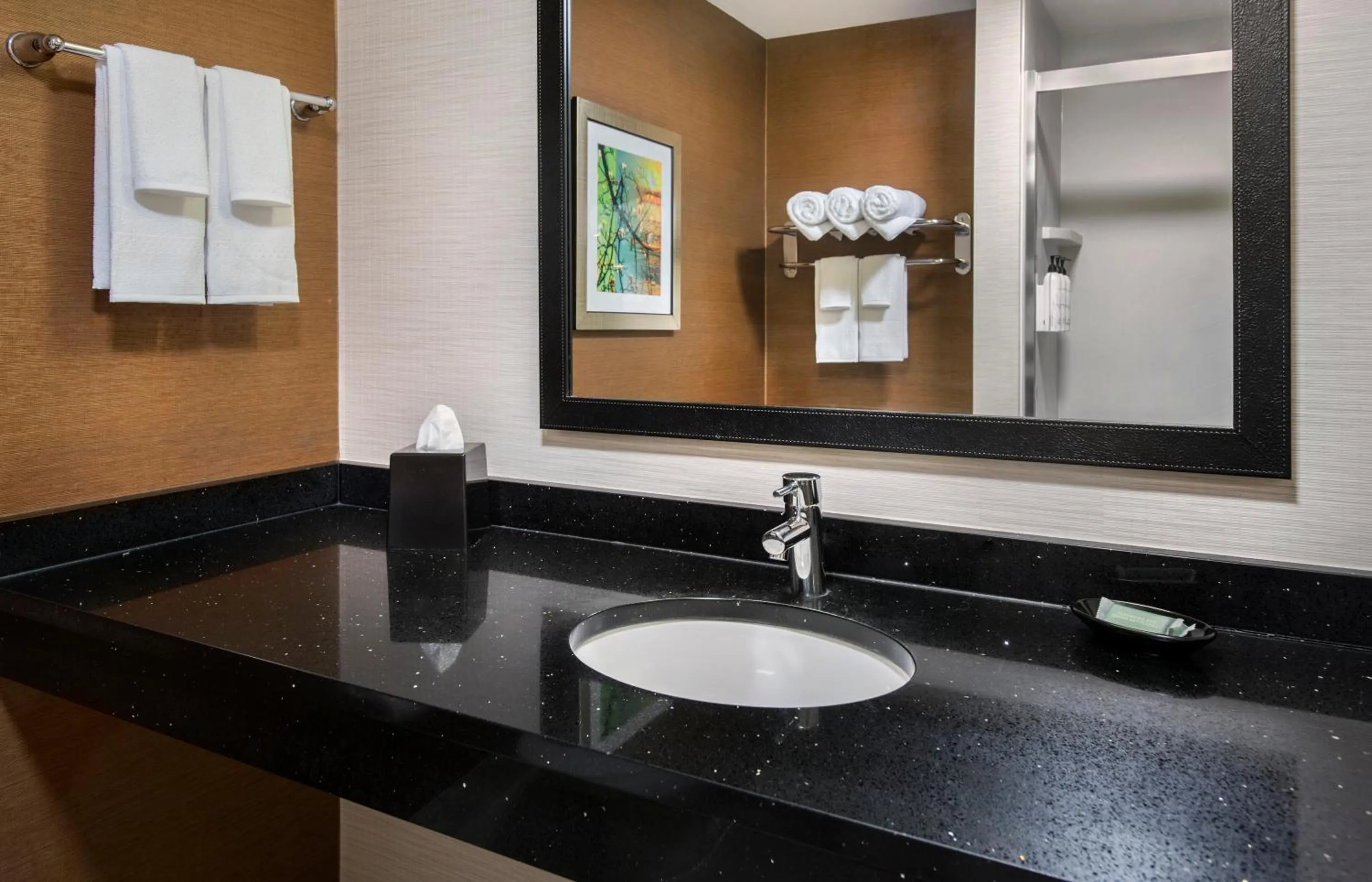 Bathroom in Fairfield Inn & Suites by Marriott Dover