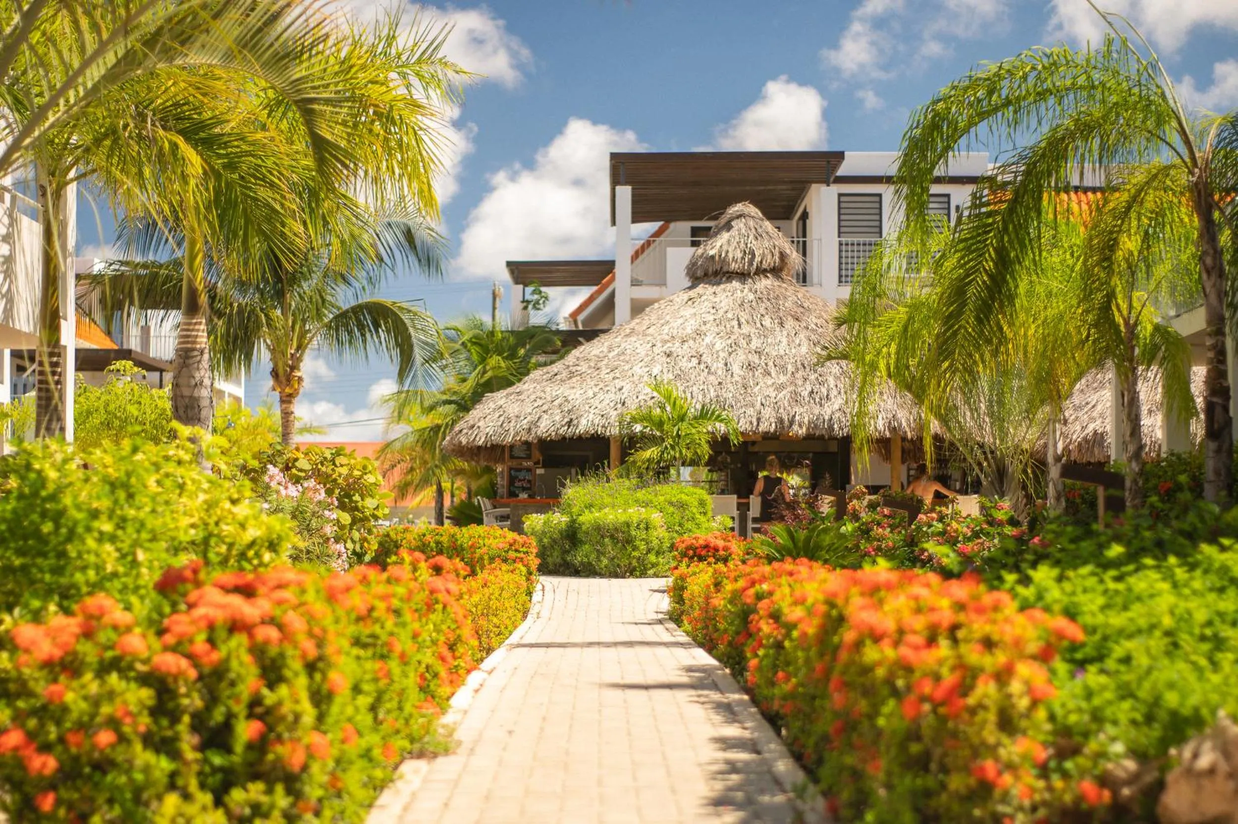 Restaurant/places to eat in Resort Bonaire