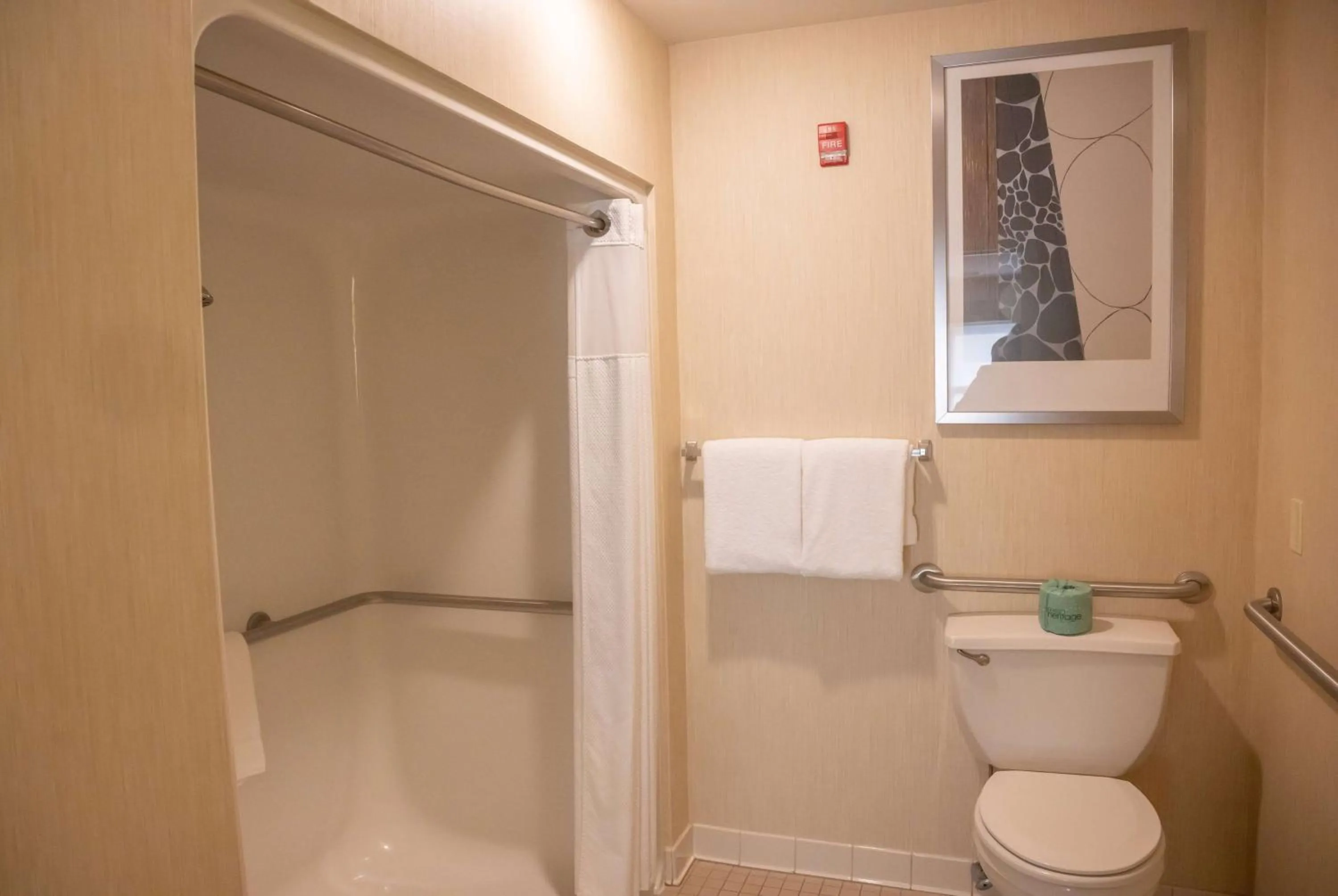 TV and multimedia in Hawthorn Suites by Wyndham Erie