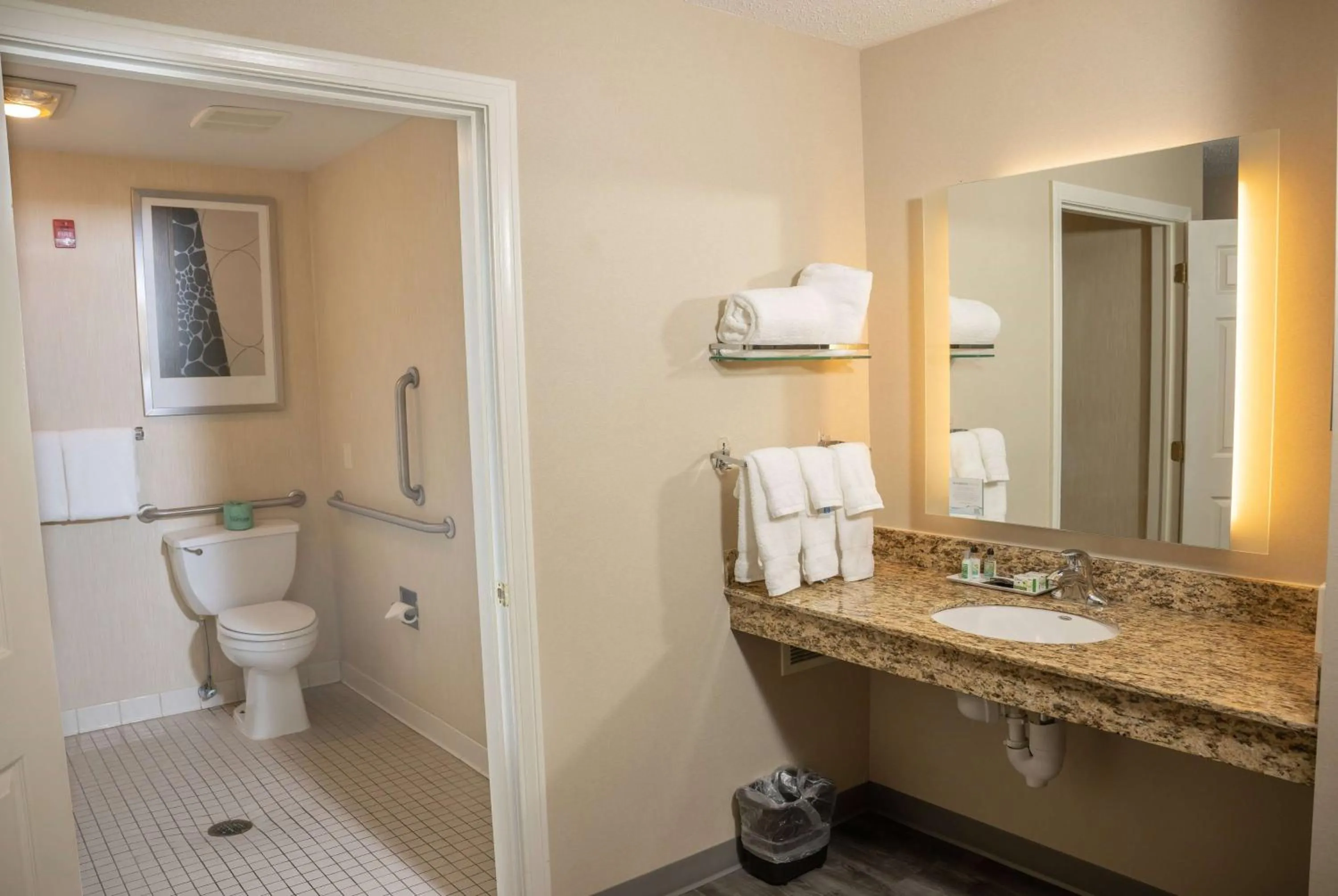 TV and multimedia in Hawthorn Suites by Wyndham Erie