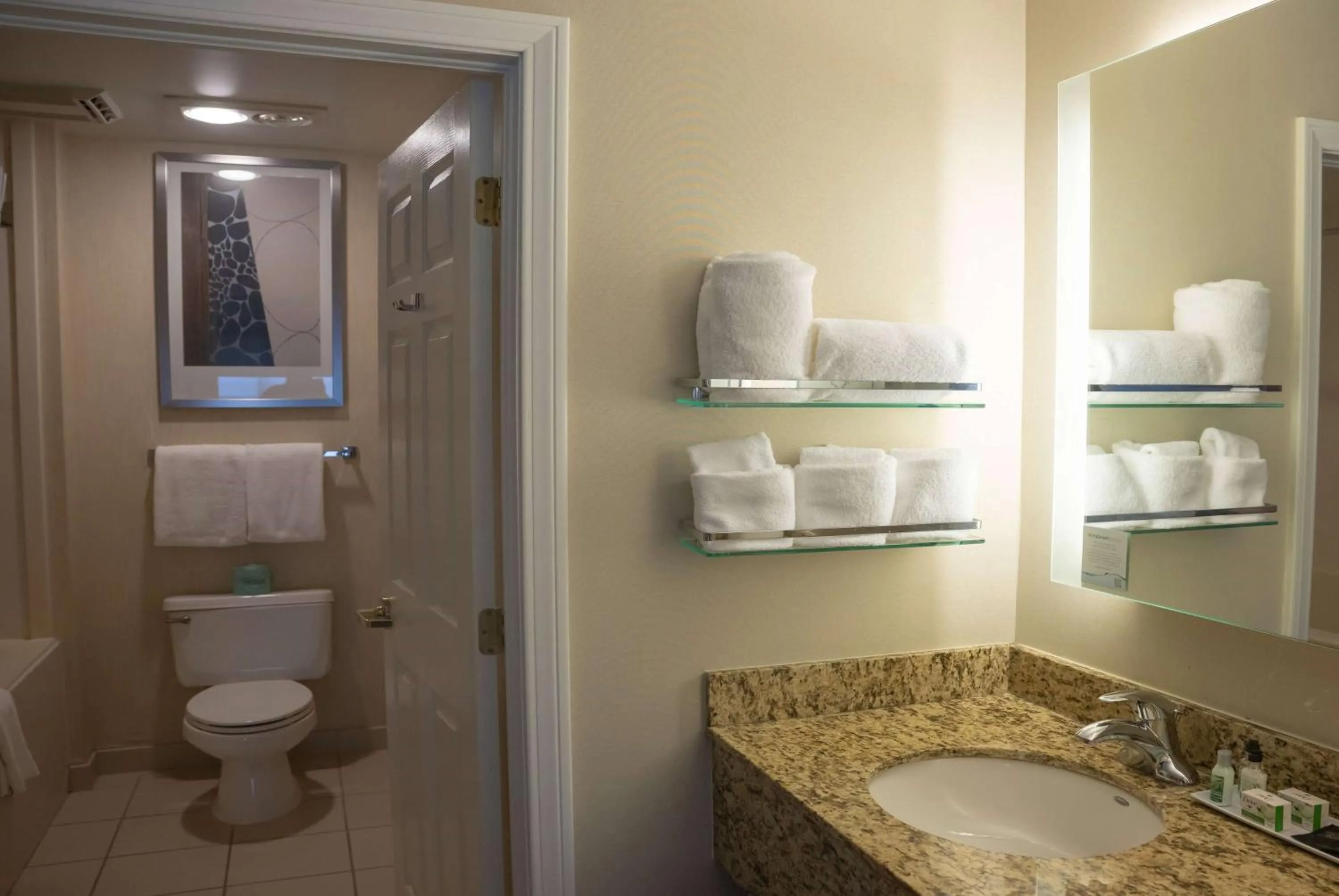 TV and multimedia in Hawthorn Suites by Wyndham Erie