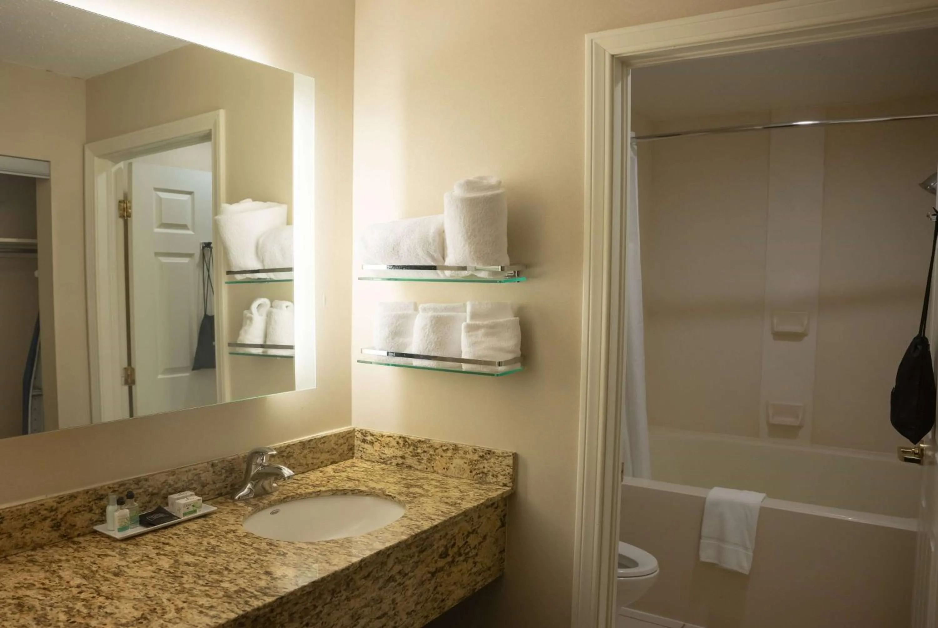 TV and multimedia in Hawthorn Suites by Wyndham Erie