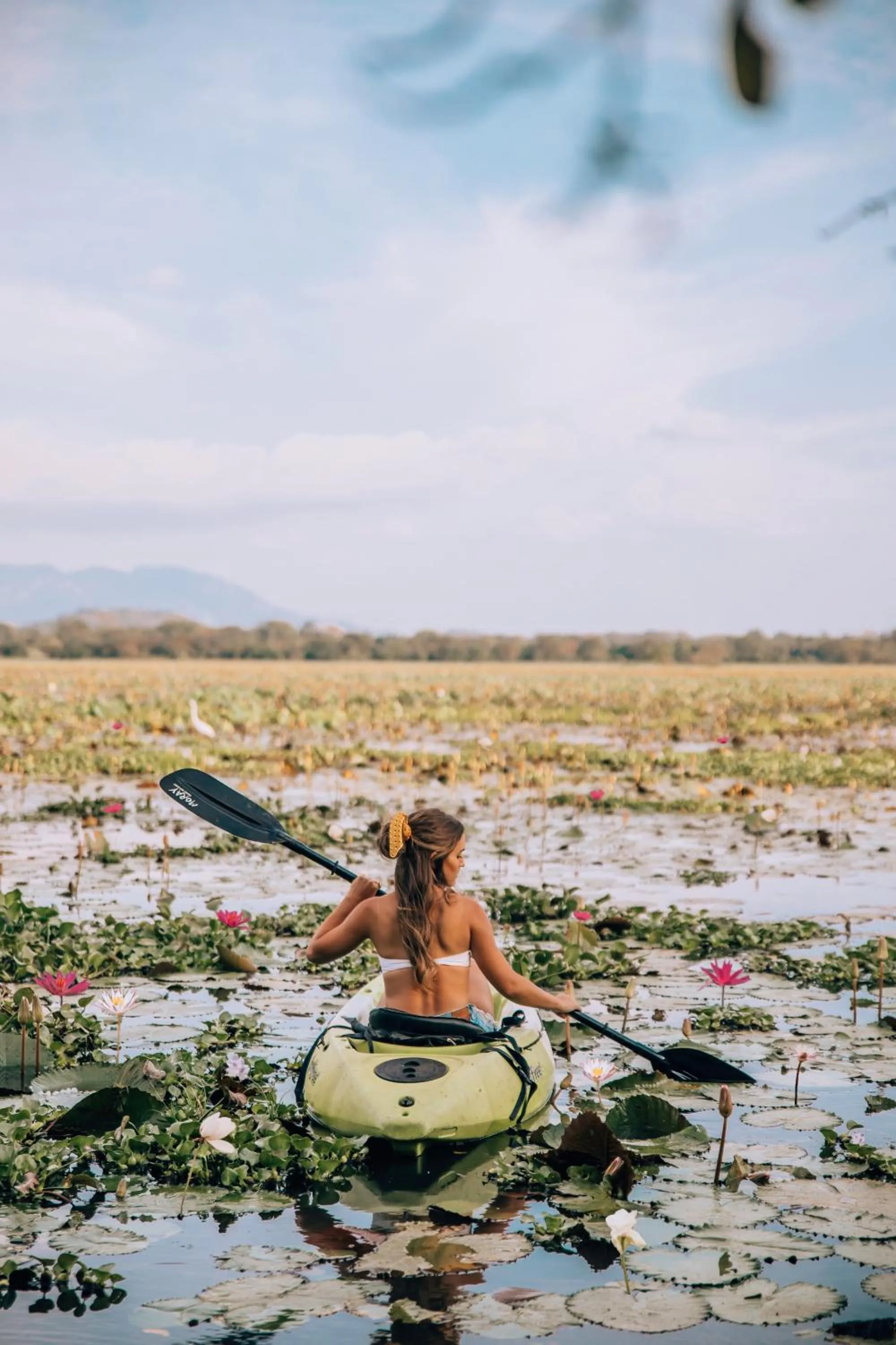 Spring in Uga Ulagalla - Anuradhapura