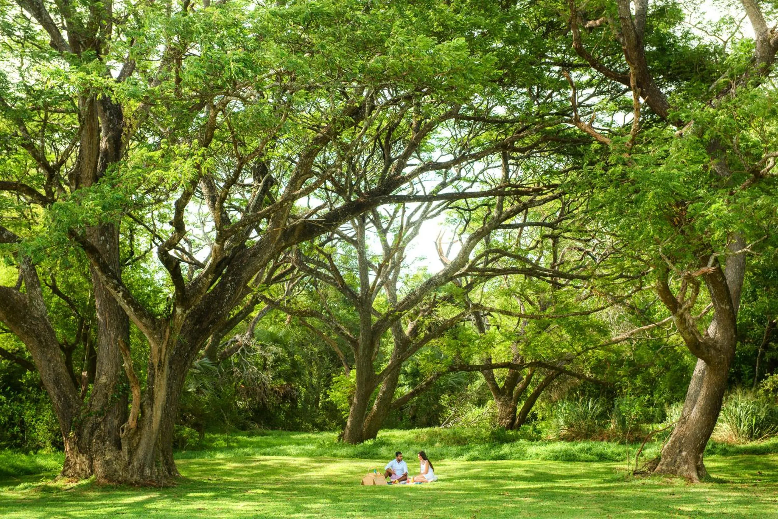 Spring in Uga Ulagalla - Anuradhapura
