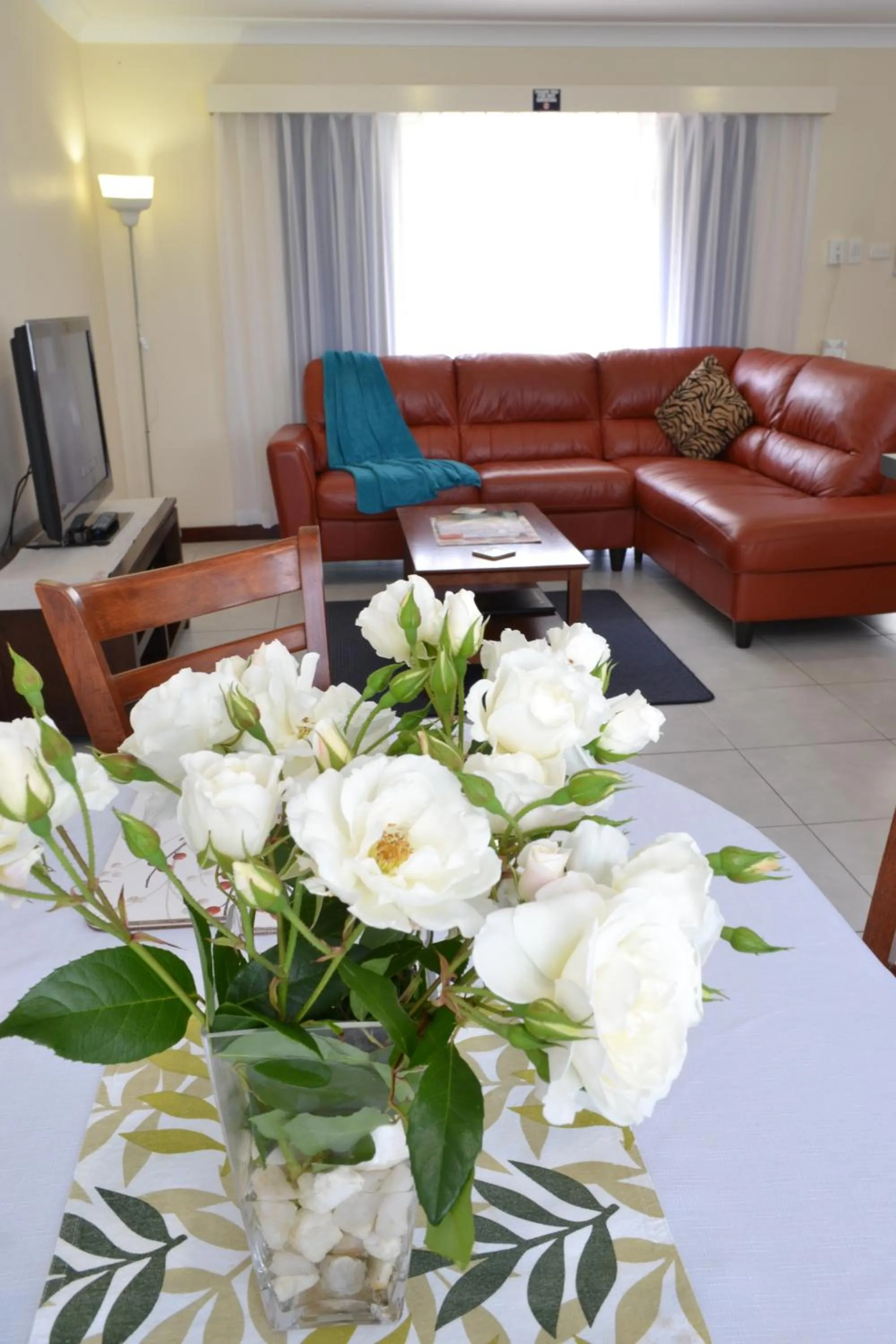 Living room in Dolphin Lodge Albany - Self Contained Apartments at Middleton Beach