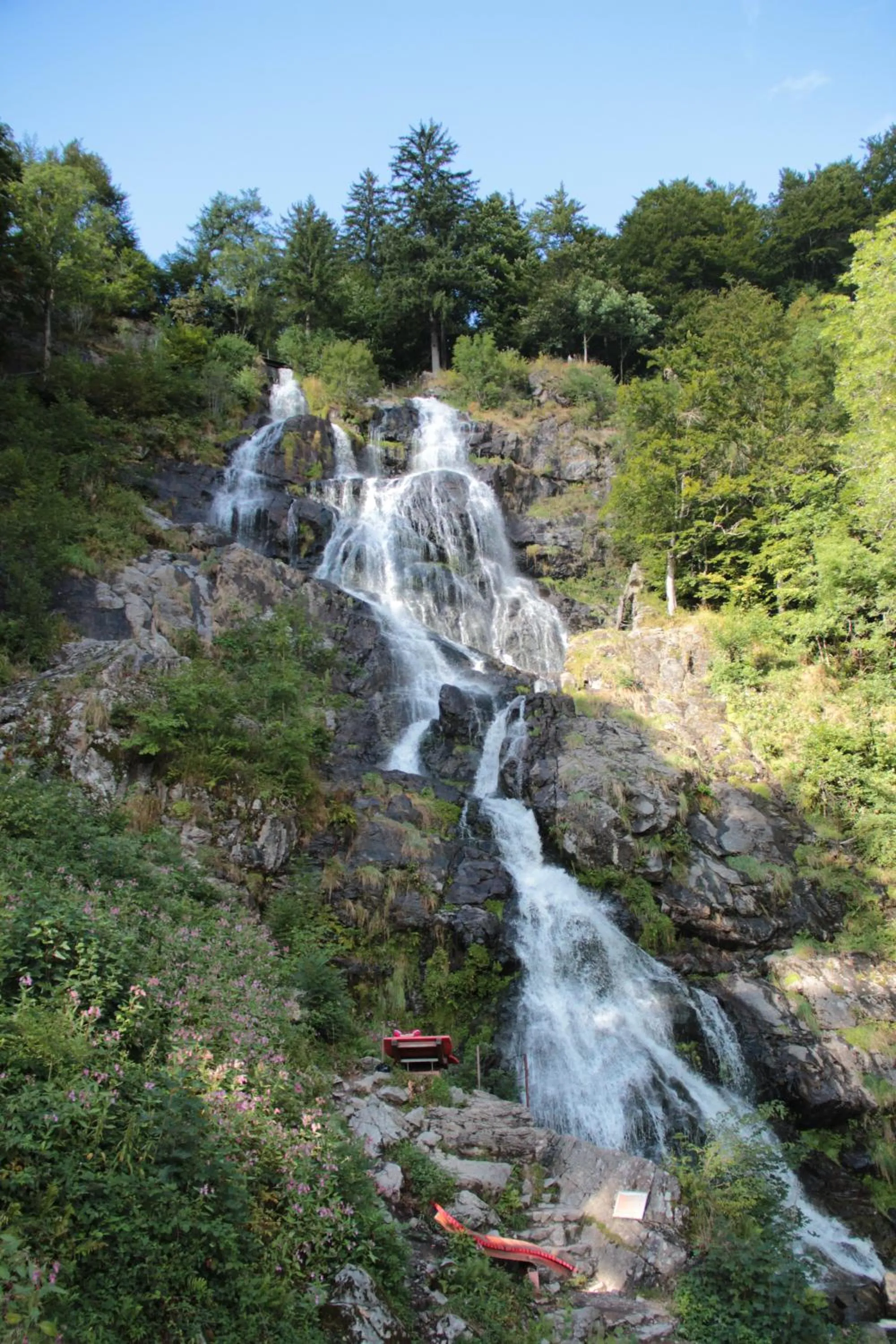 Day in Hotel Krone Stühlingen - Das Tor zum Südschwarzwald