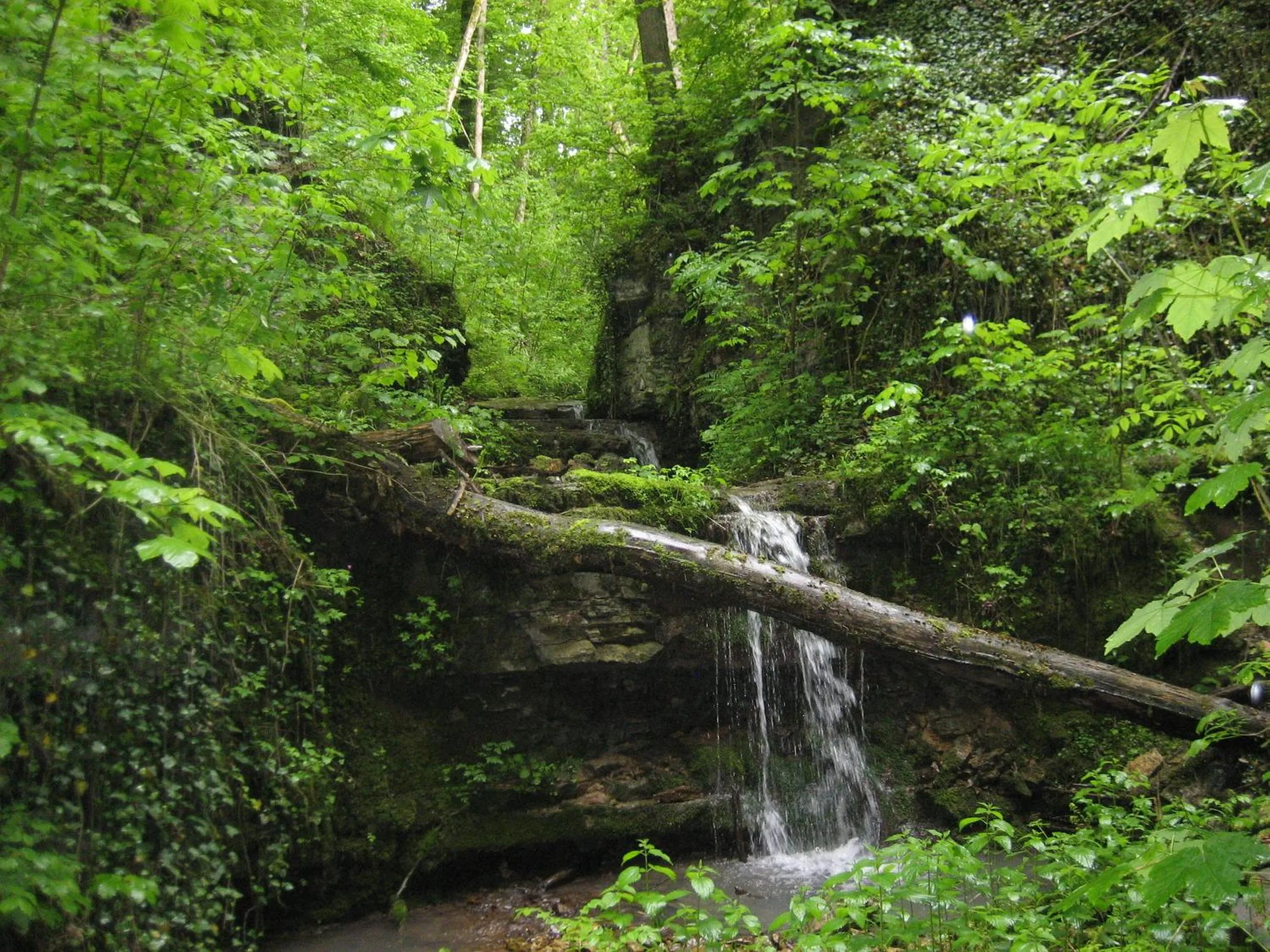 Natural landscape in Hotel Krone Stühlingen - Das Tor zum Südschwarzwald