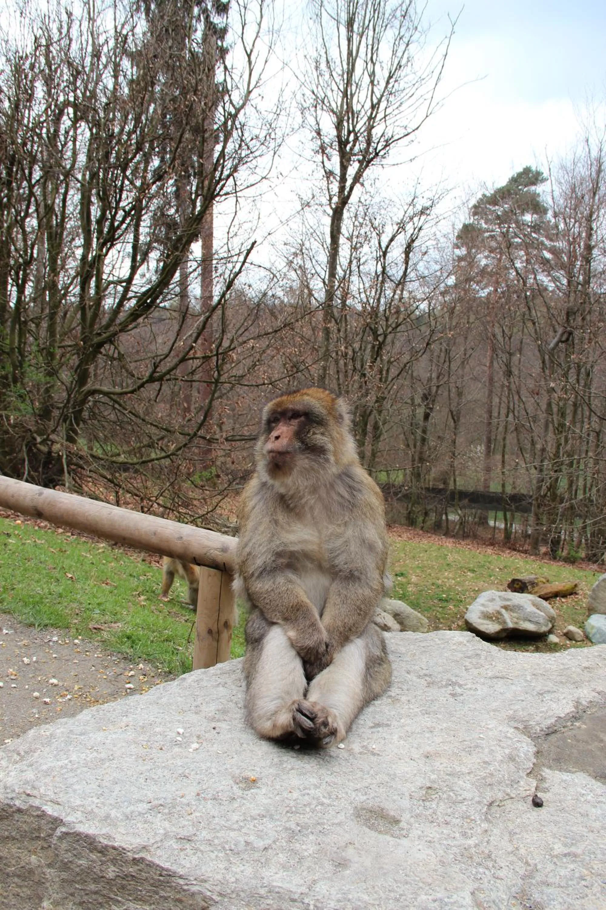 Area and facilities in Hotel Krone Stühlingen - Das Tor zum Südschwarzwald