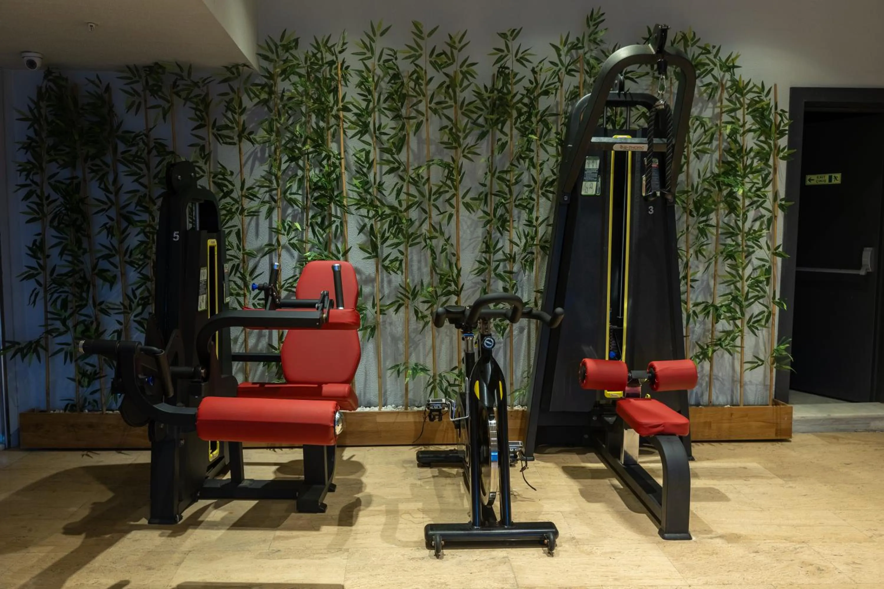 Fitness centre/facilities in Tryp By Wyndham Istanbul Sancaktepe