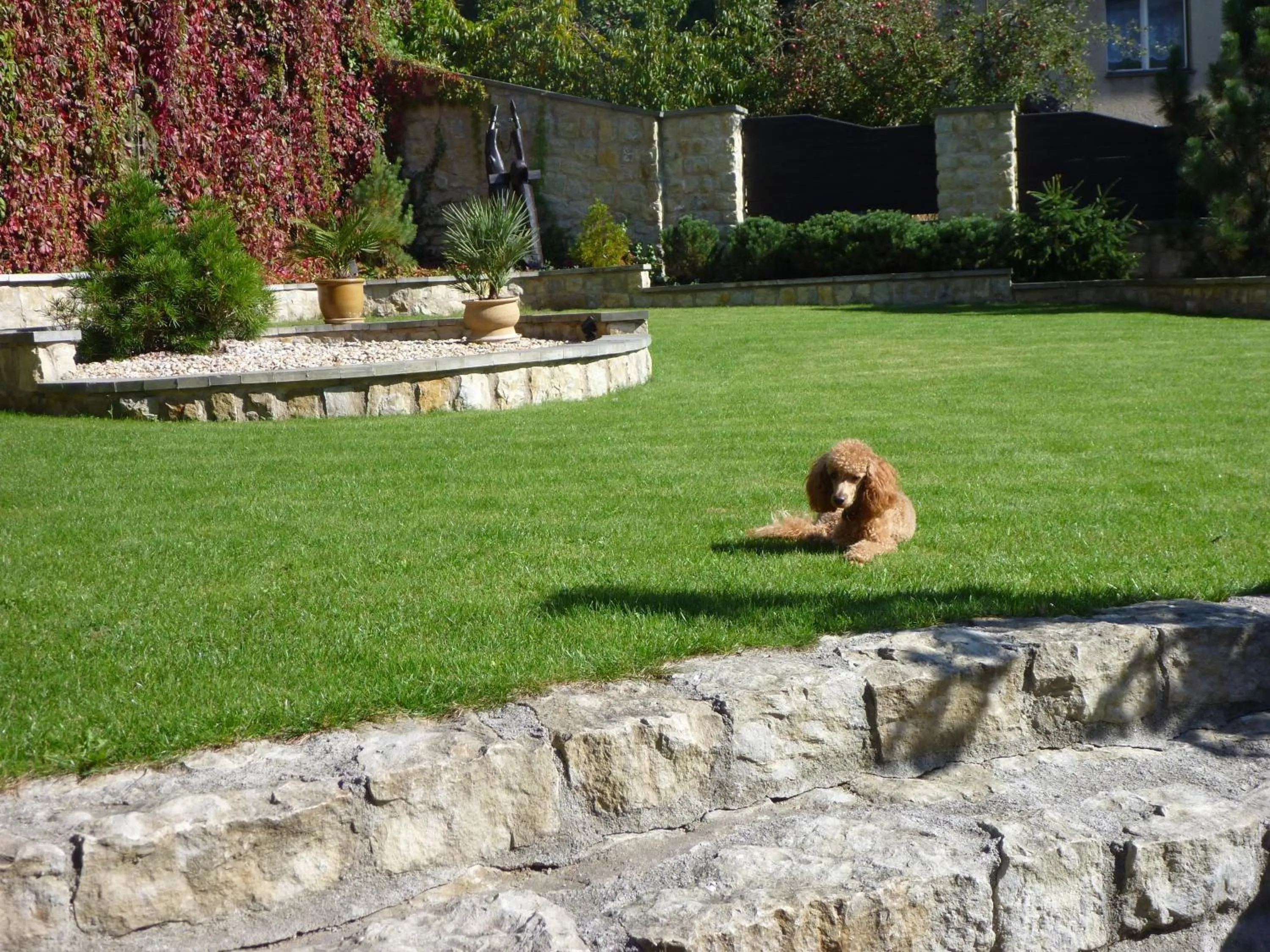 Day in Antik Hotel Sofia