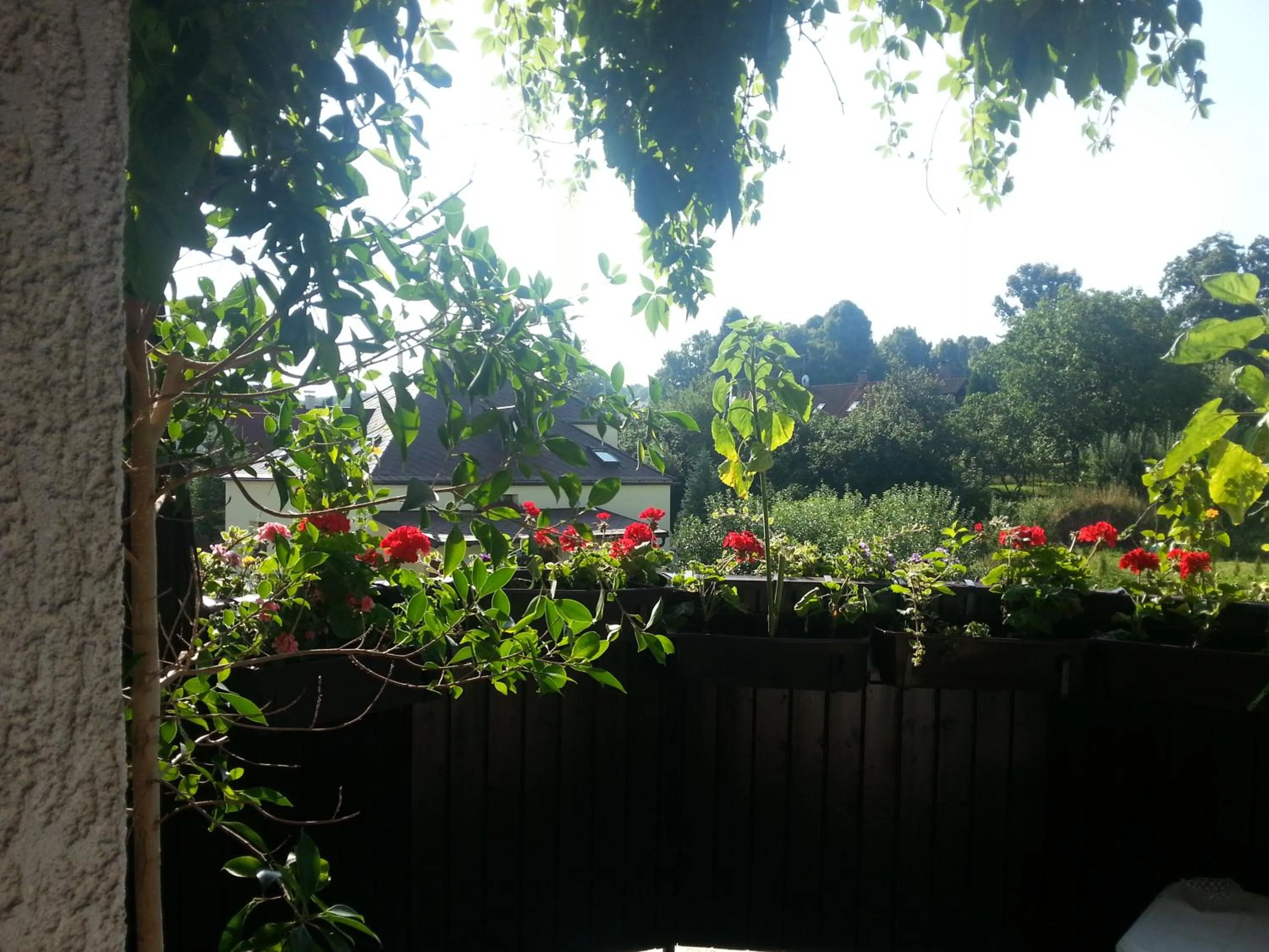 Balcony/Terrace in Antik Hotel Sofia