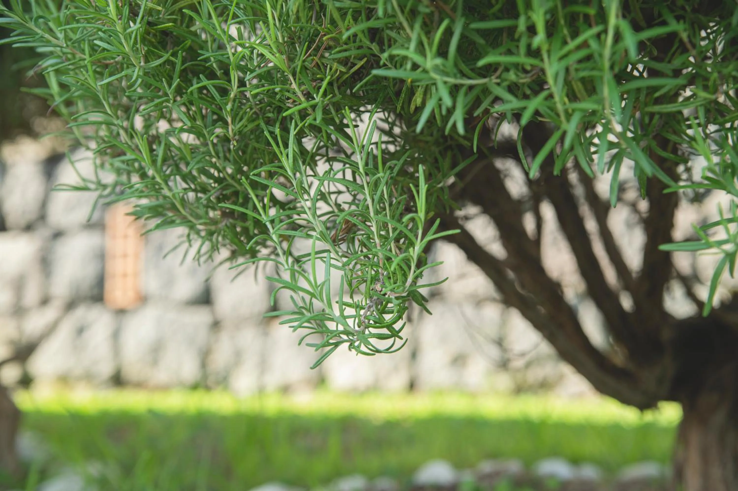 Garden in Marina 10 Design Hotel & SPA