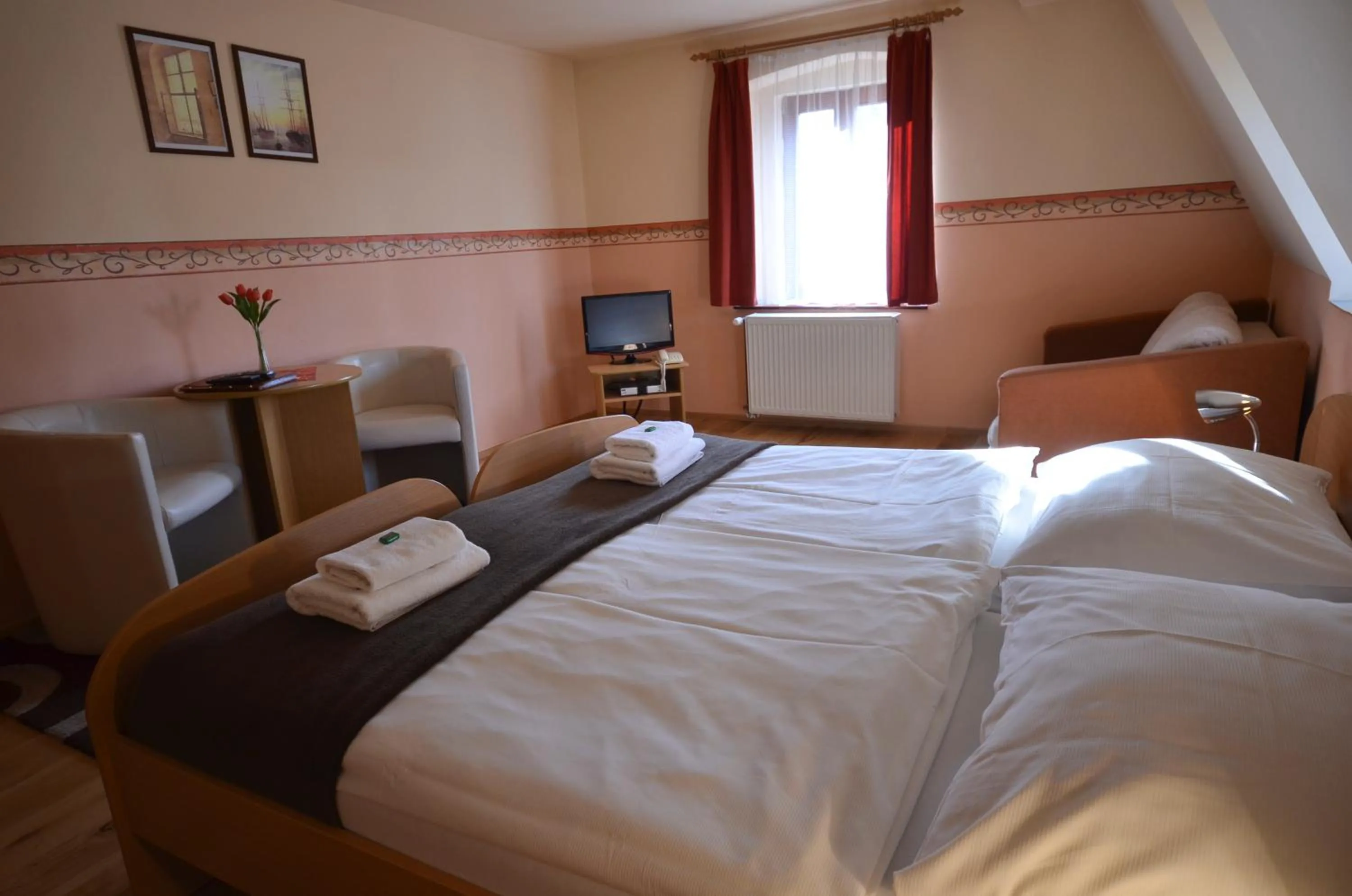 Double or Twin Room with Park View - single occupancy in Hotel U Kozicky