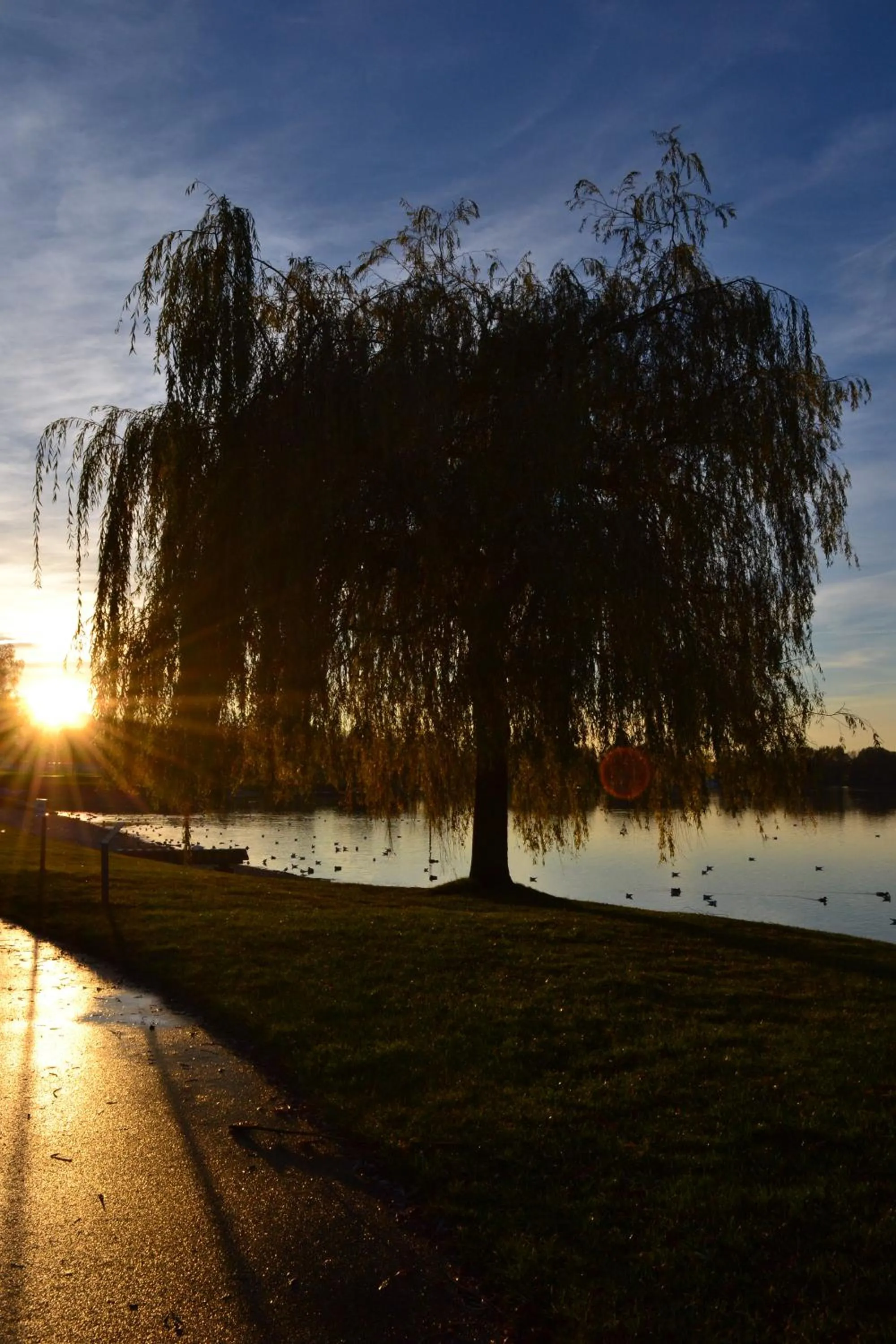 Natural landscape in Gästehaus Gritsch