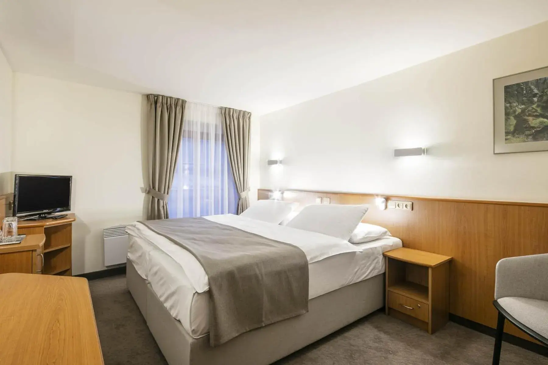 Economy Double Room - single occupancy in Hotel Ostrov Economy Double Room - single occupancy in Hotel Ostrov