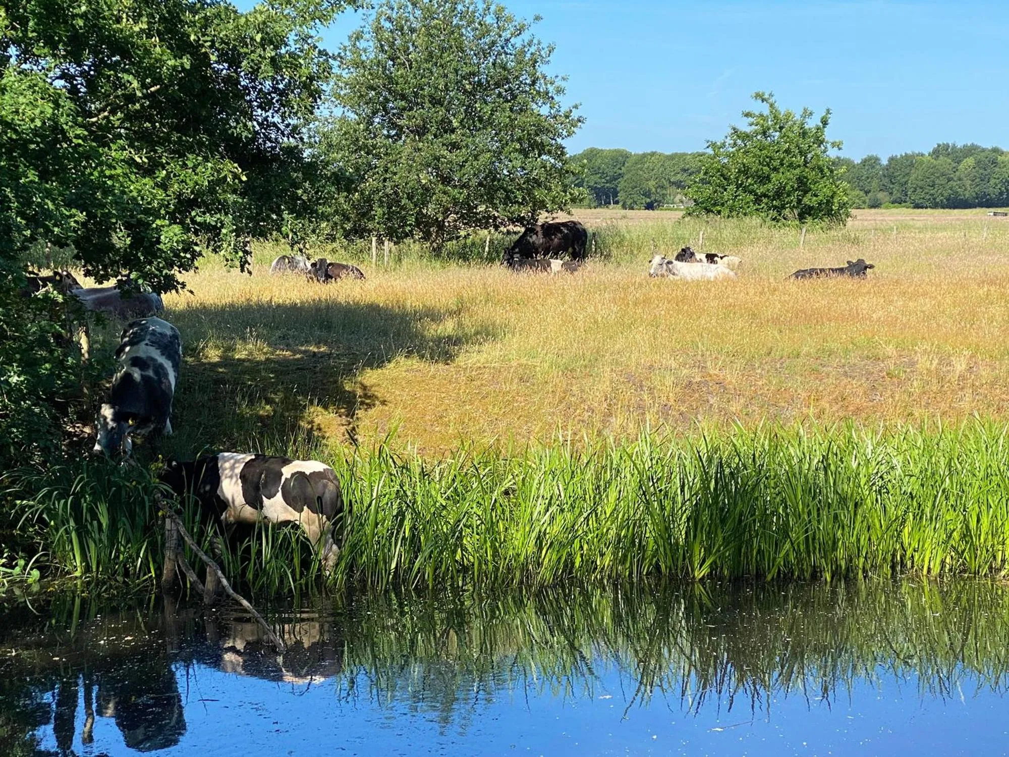 View (from property/room) in Hotel De Ruwenberg Den Bosch - Sint Michielsgestel
