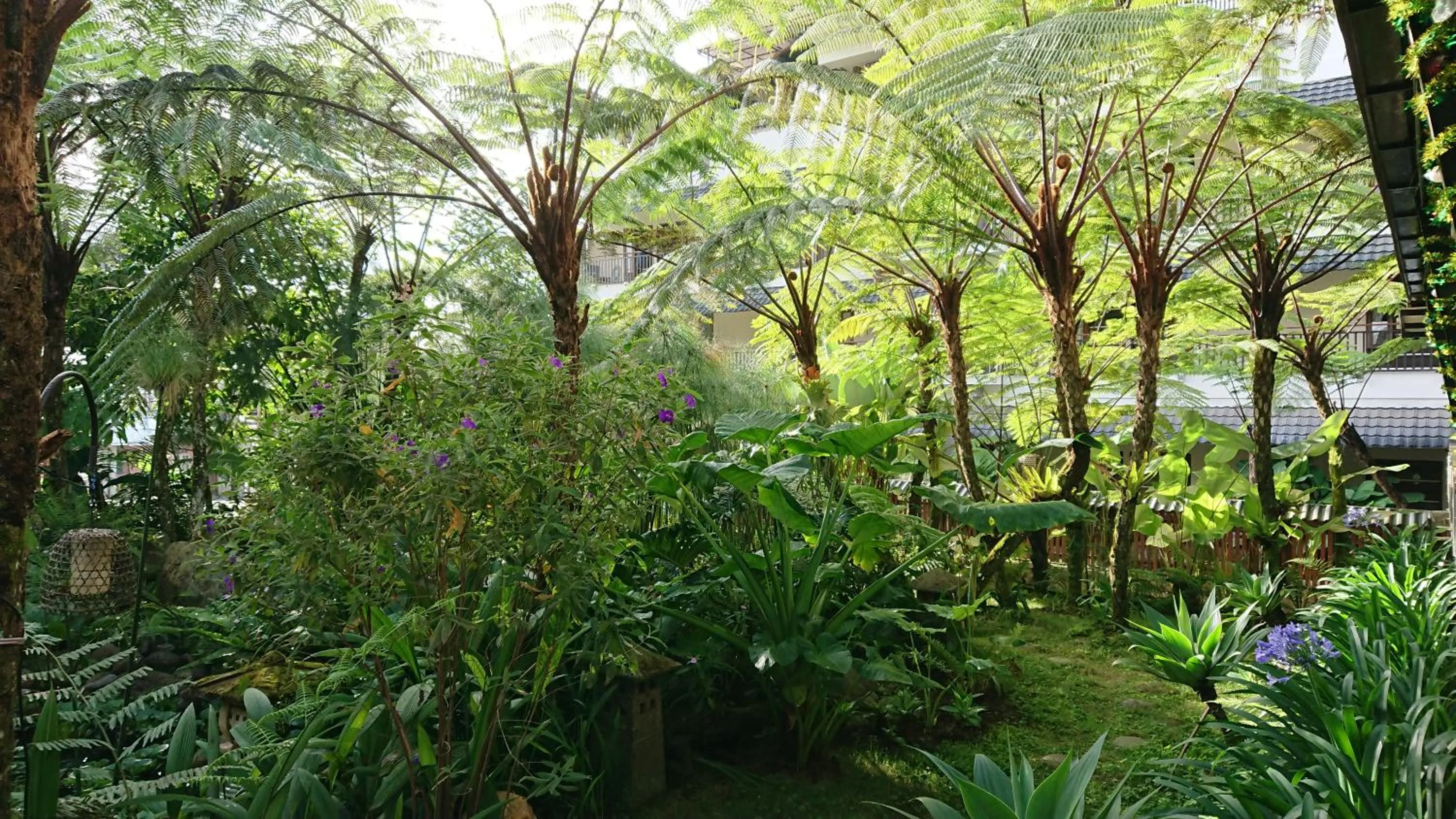 Natural landscape in Hotel Kalang Ulu
