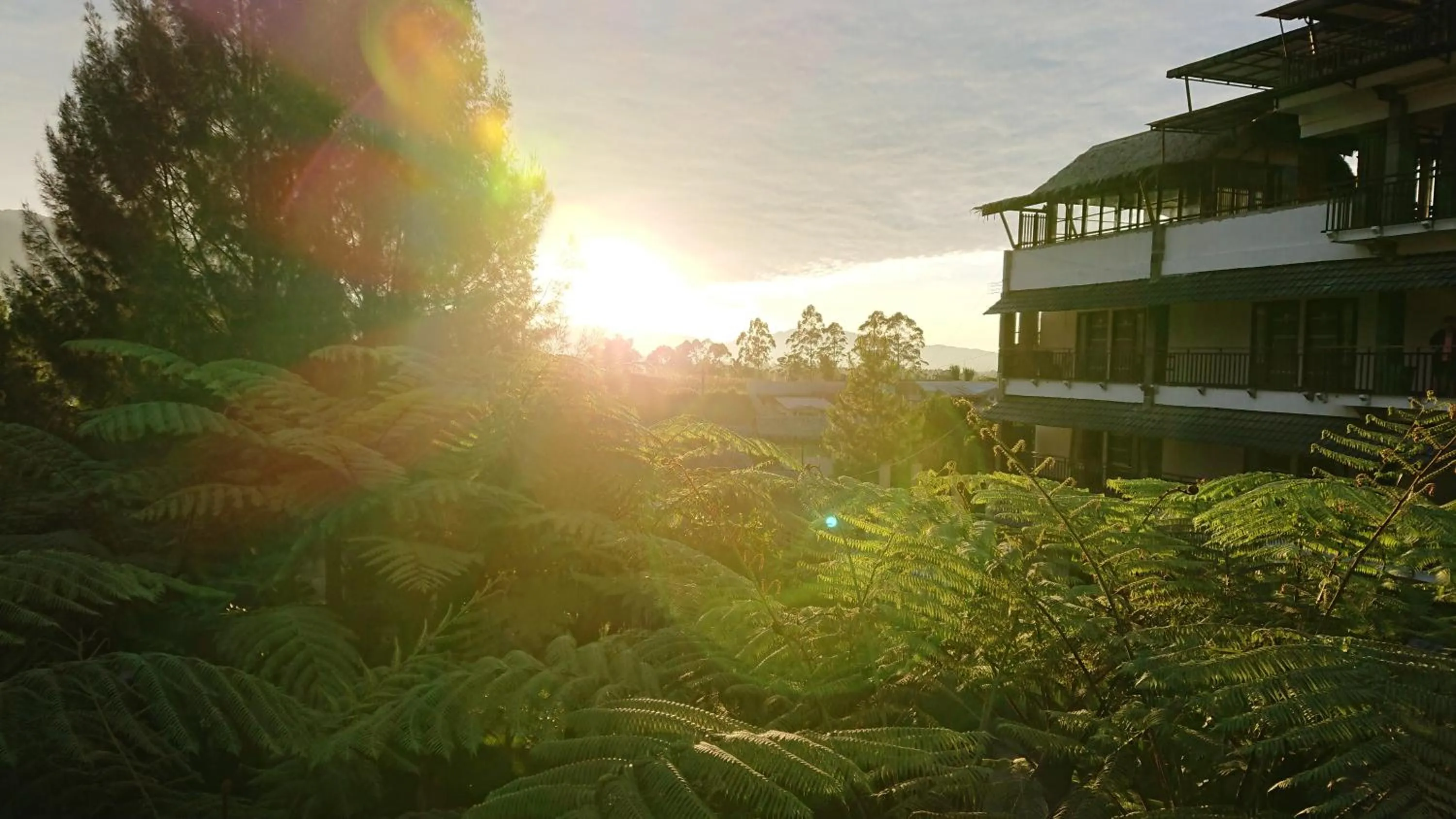 Day in Hotel Kalang Ulu