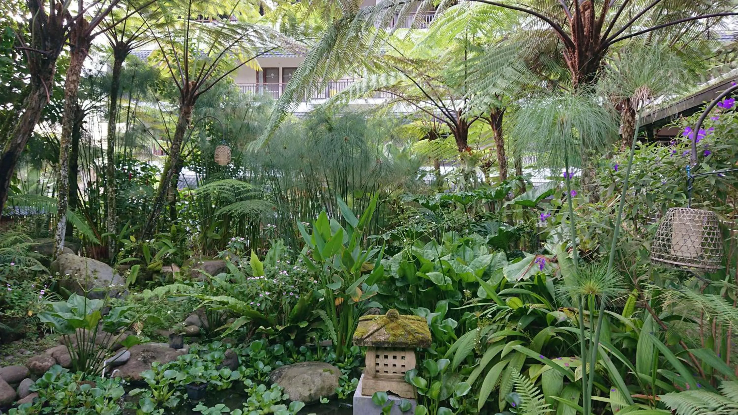 Garden in Hotel Kalang Ulu