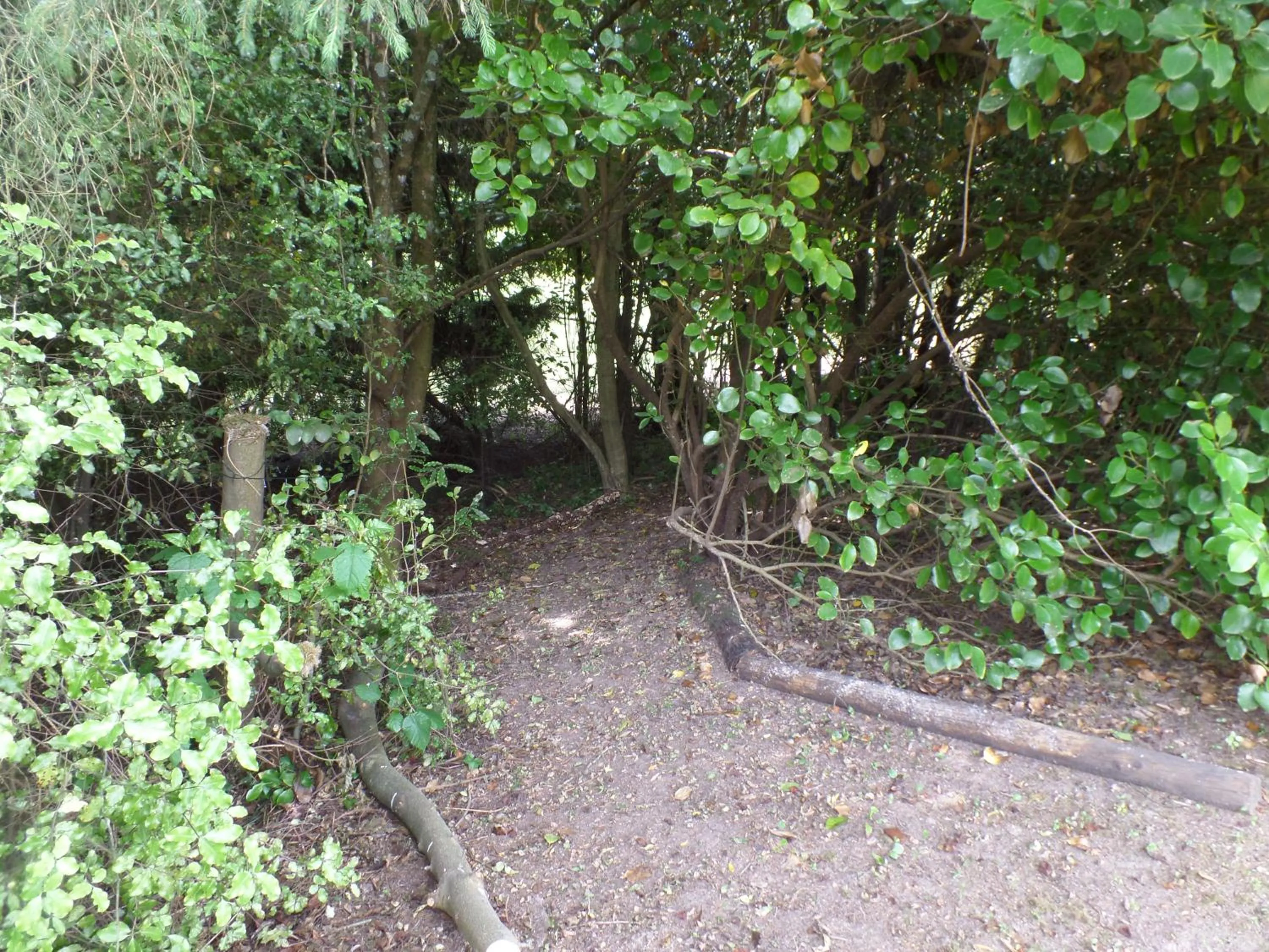 Activities in Riverstone House