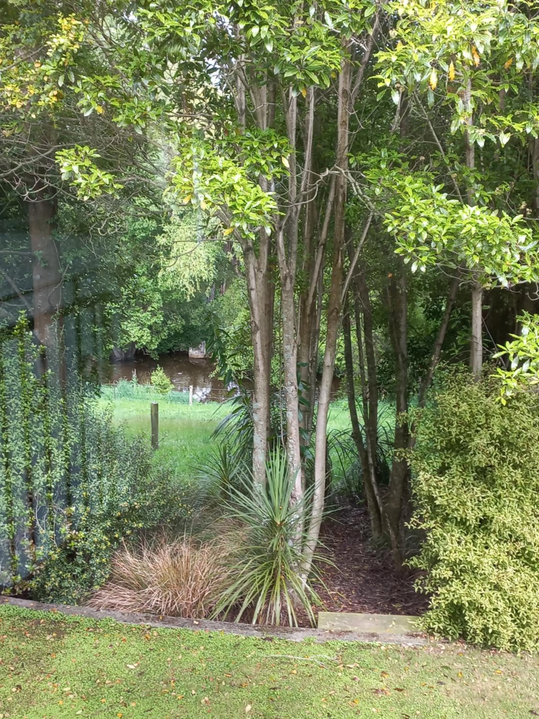 Garden in Riverstone House
