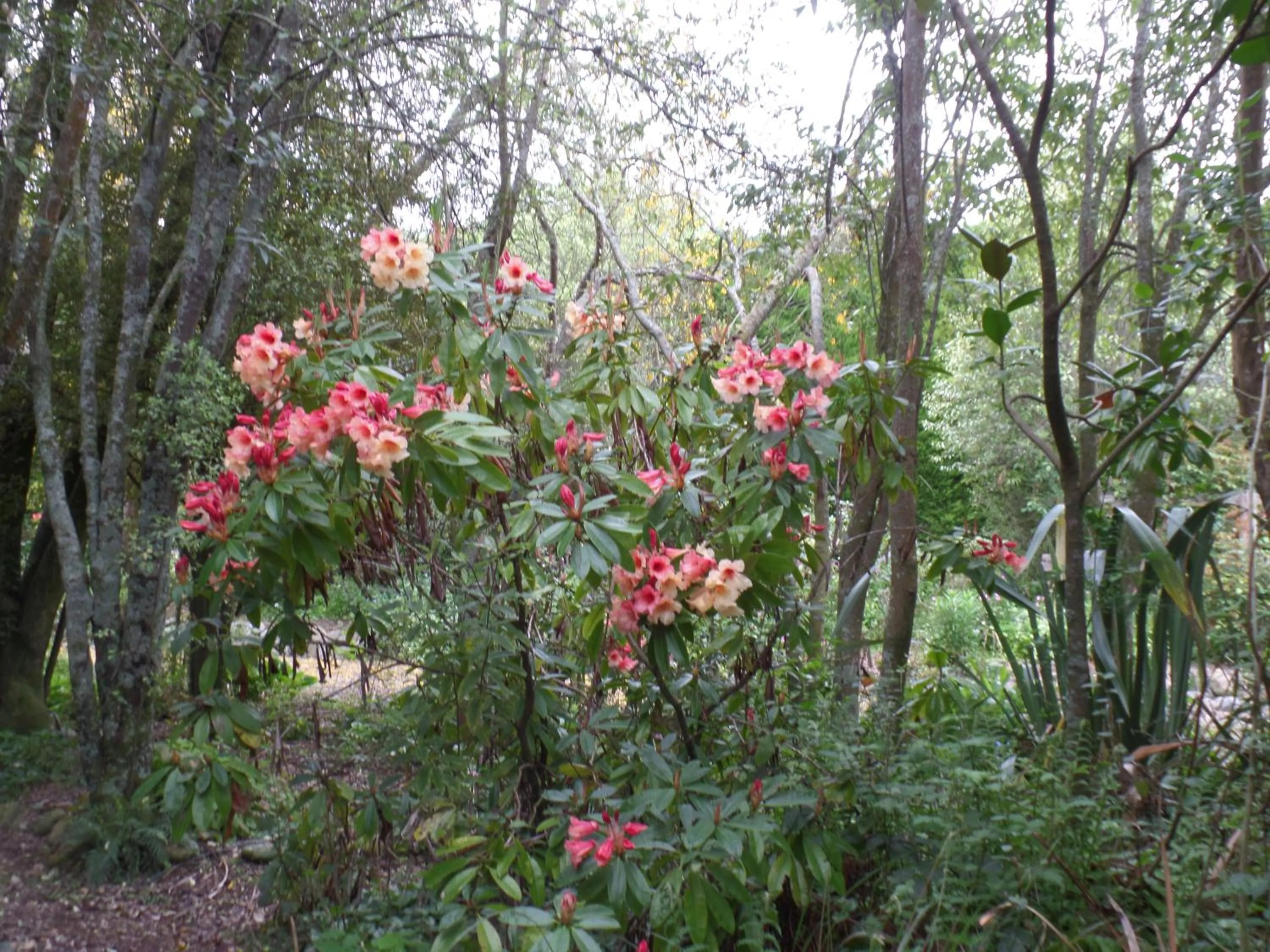 Property building in Riverstone House