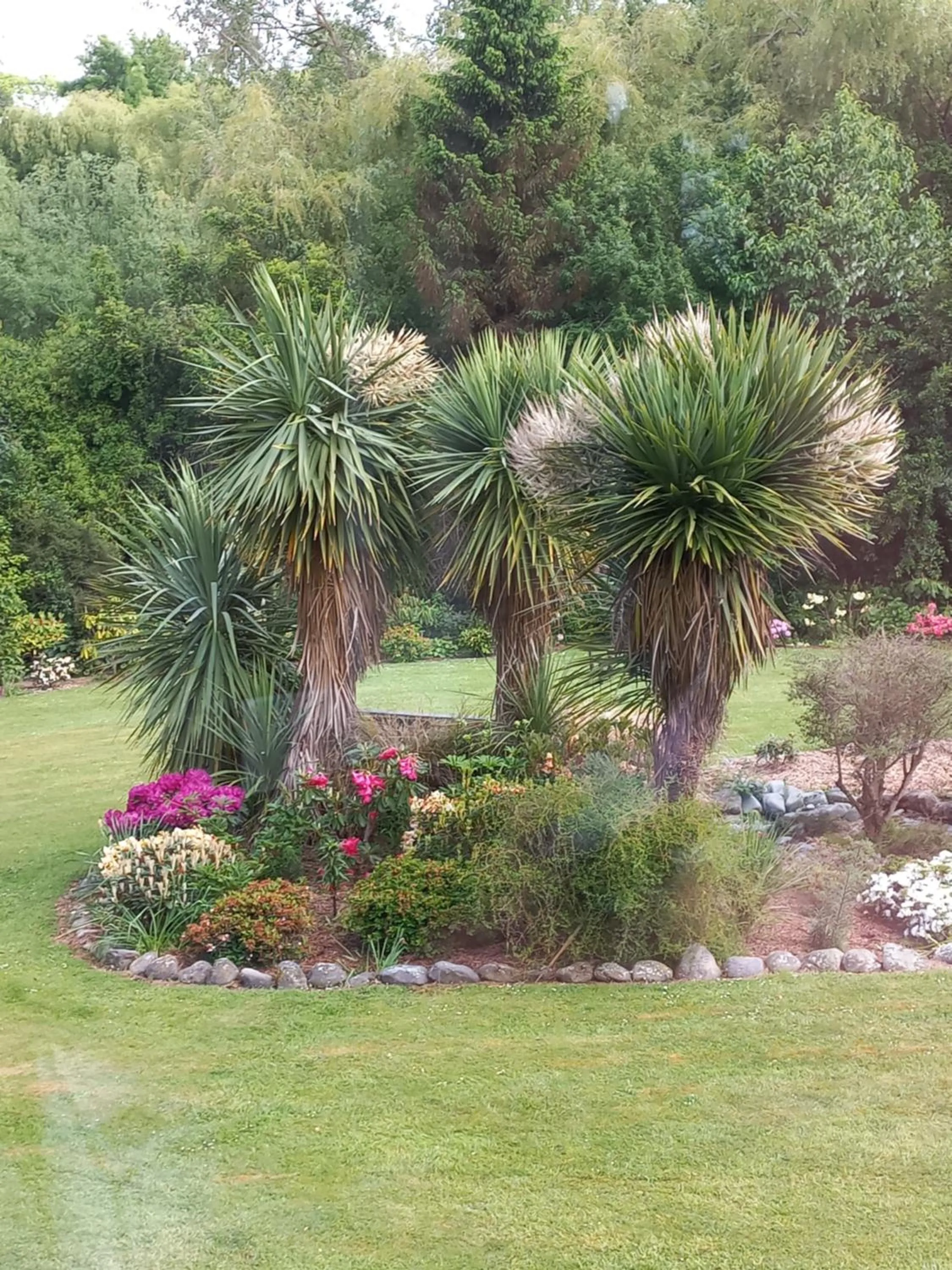 Garden in Riverstone House