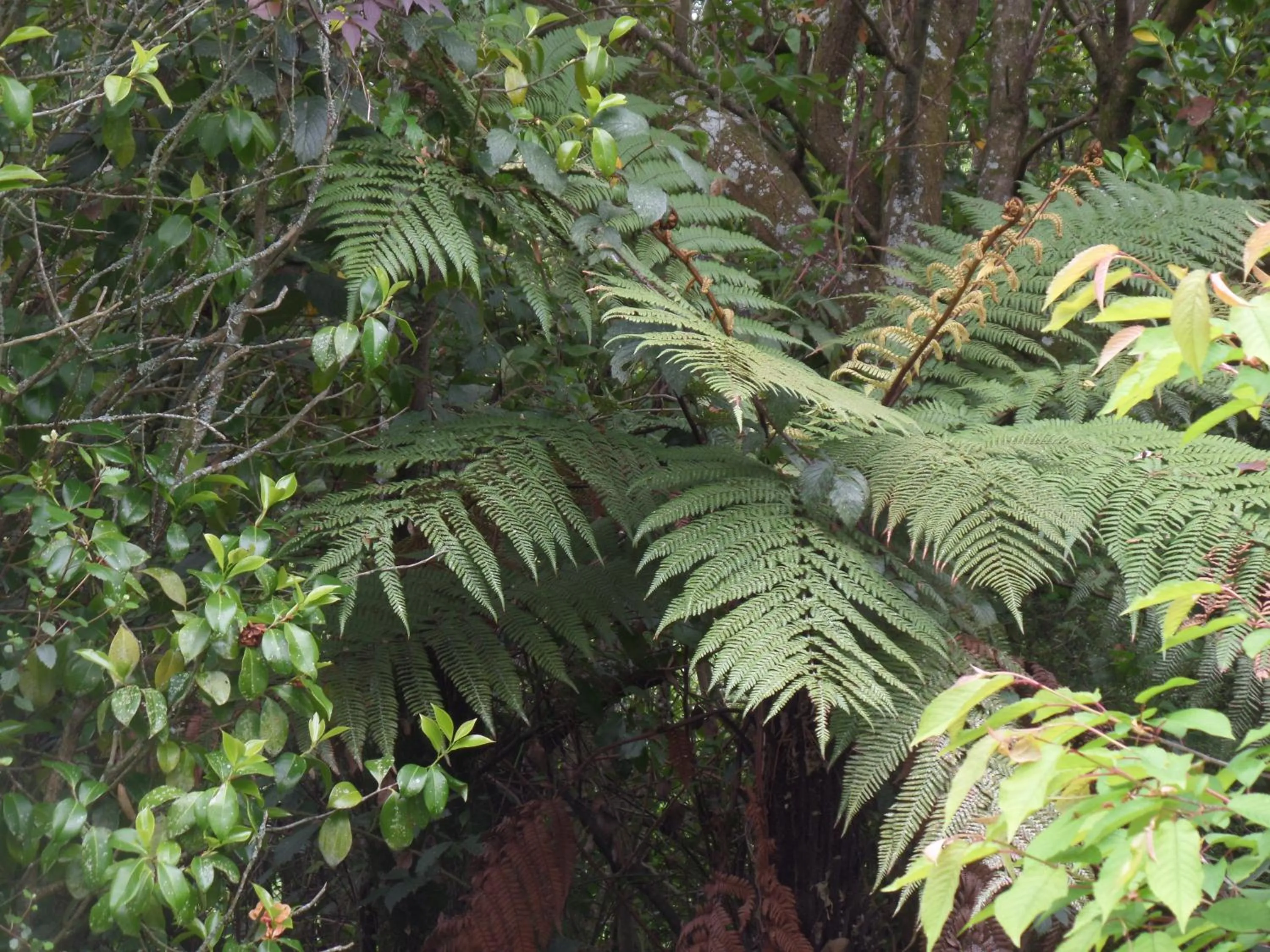Garden view in Riverstone House