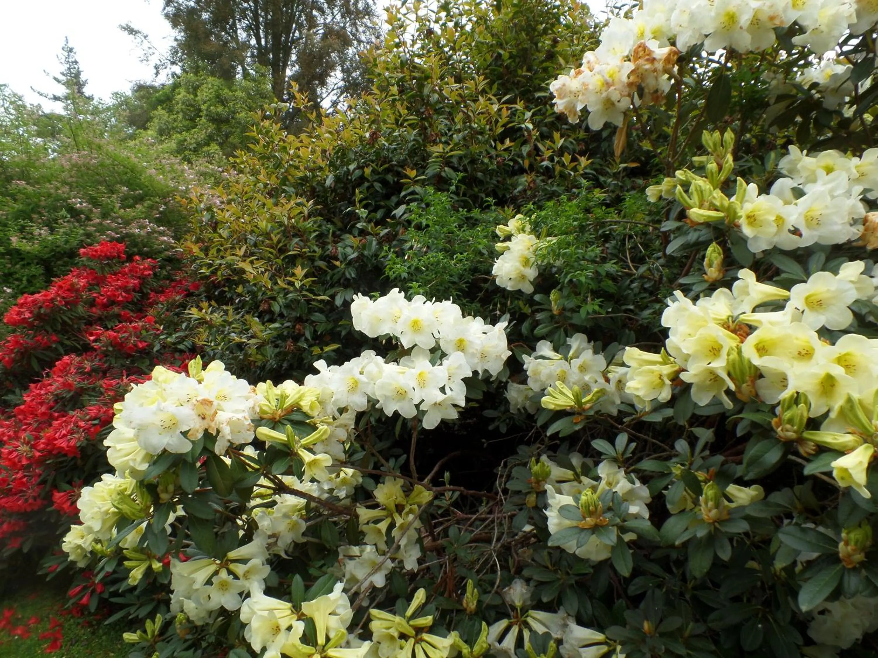 Garden in Riverstone House