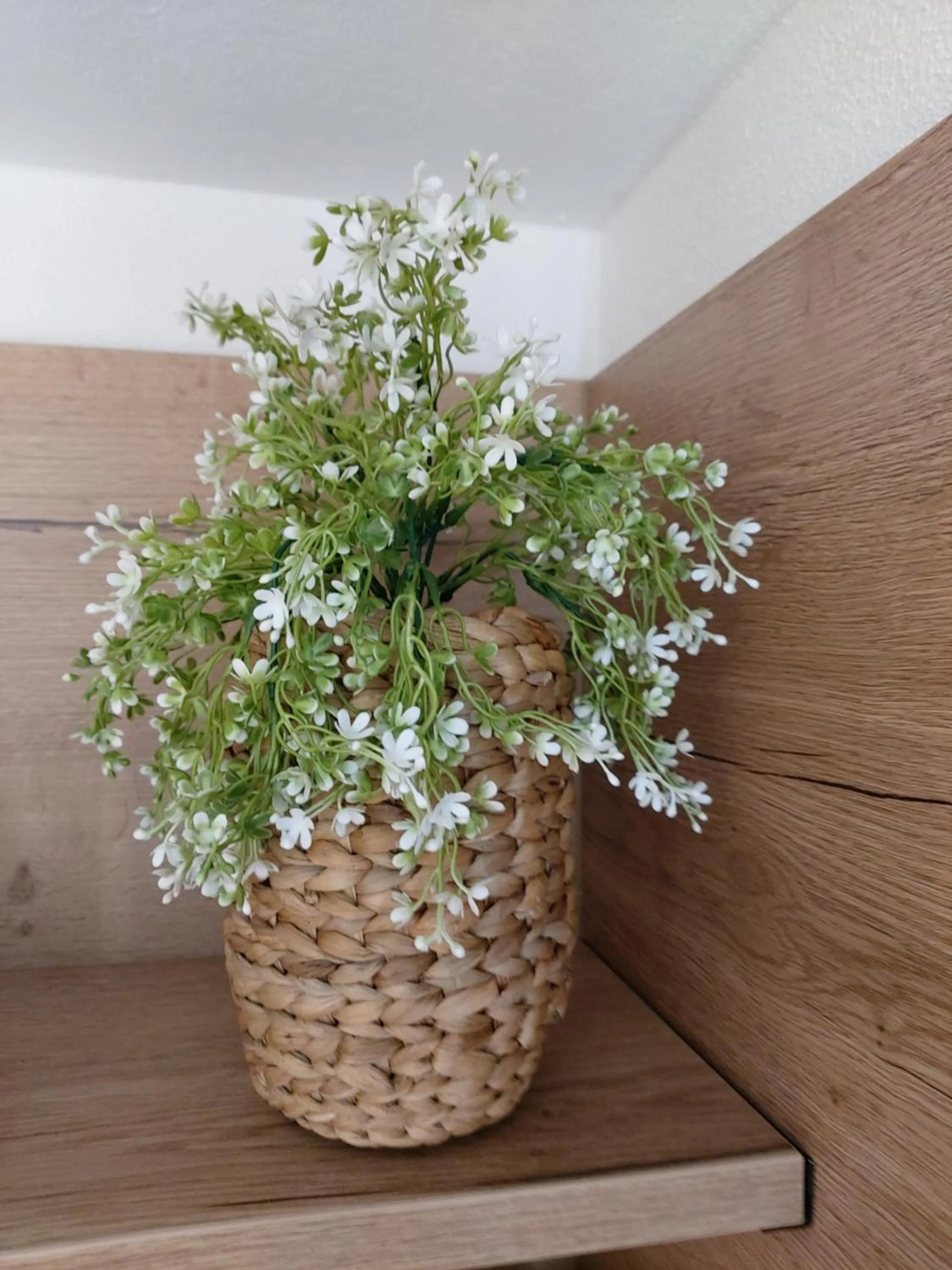 Property building in Albi Haus Winterberg