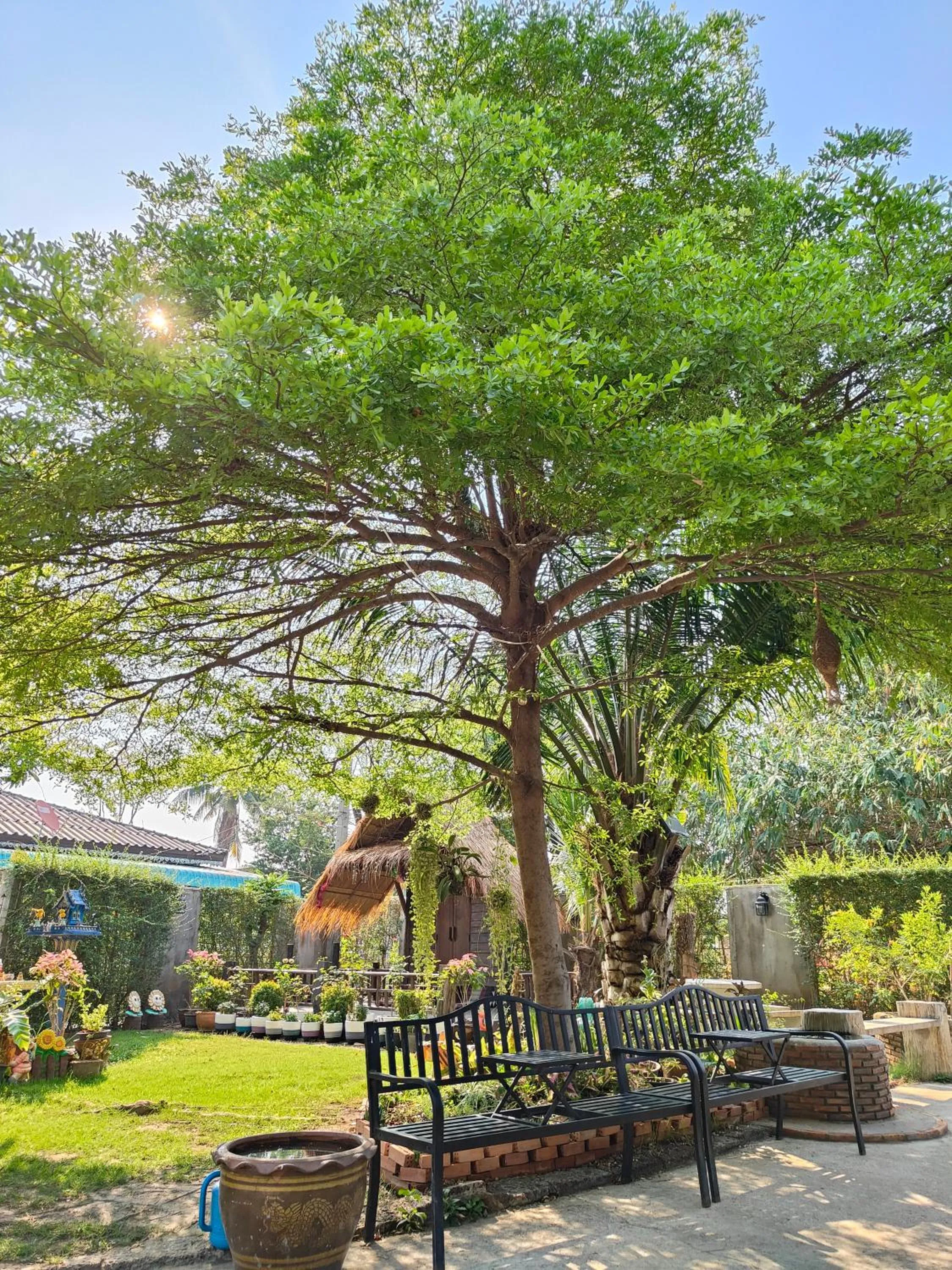 Garden in Smilingface guesthouse