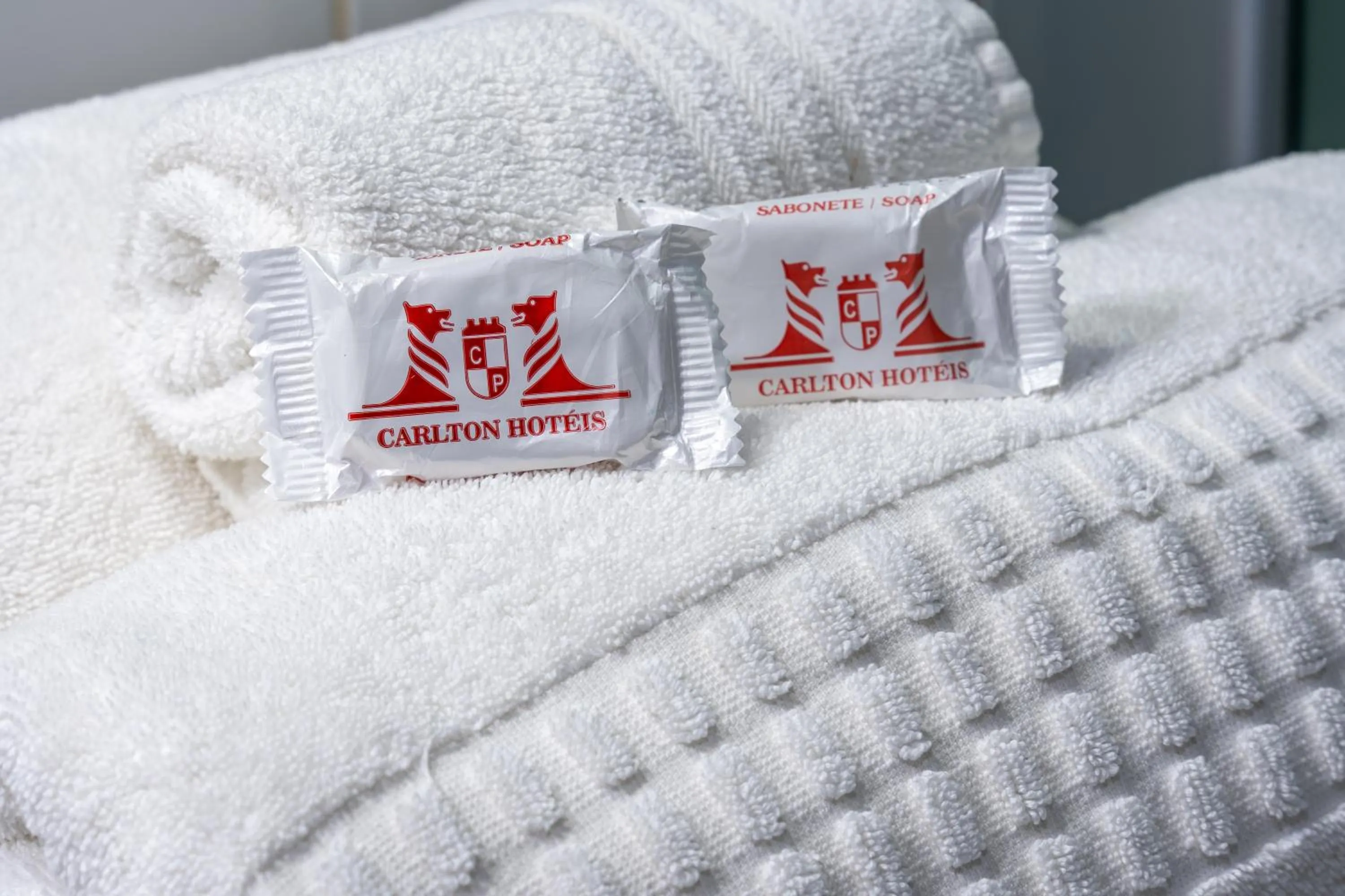 Bathroom, Bed in Carlton Plaza São José dos Campos