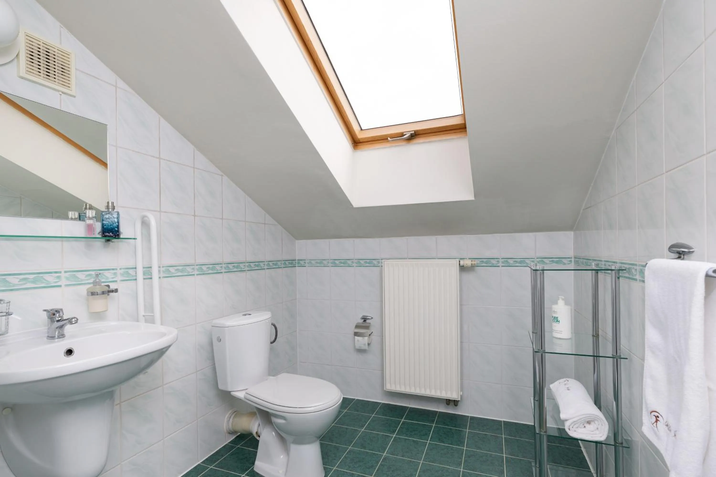 Shower in Willa i Wzgórze Jerrego Apartamenty i pokoje z widokiem na góry