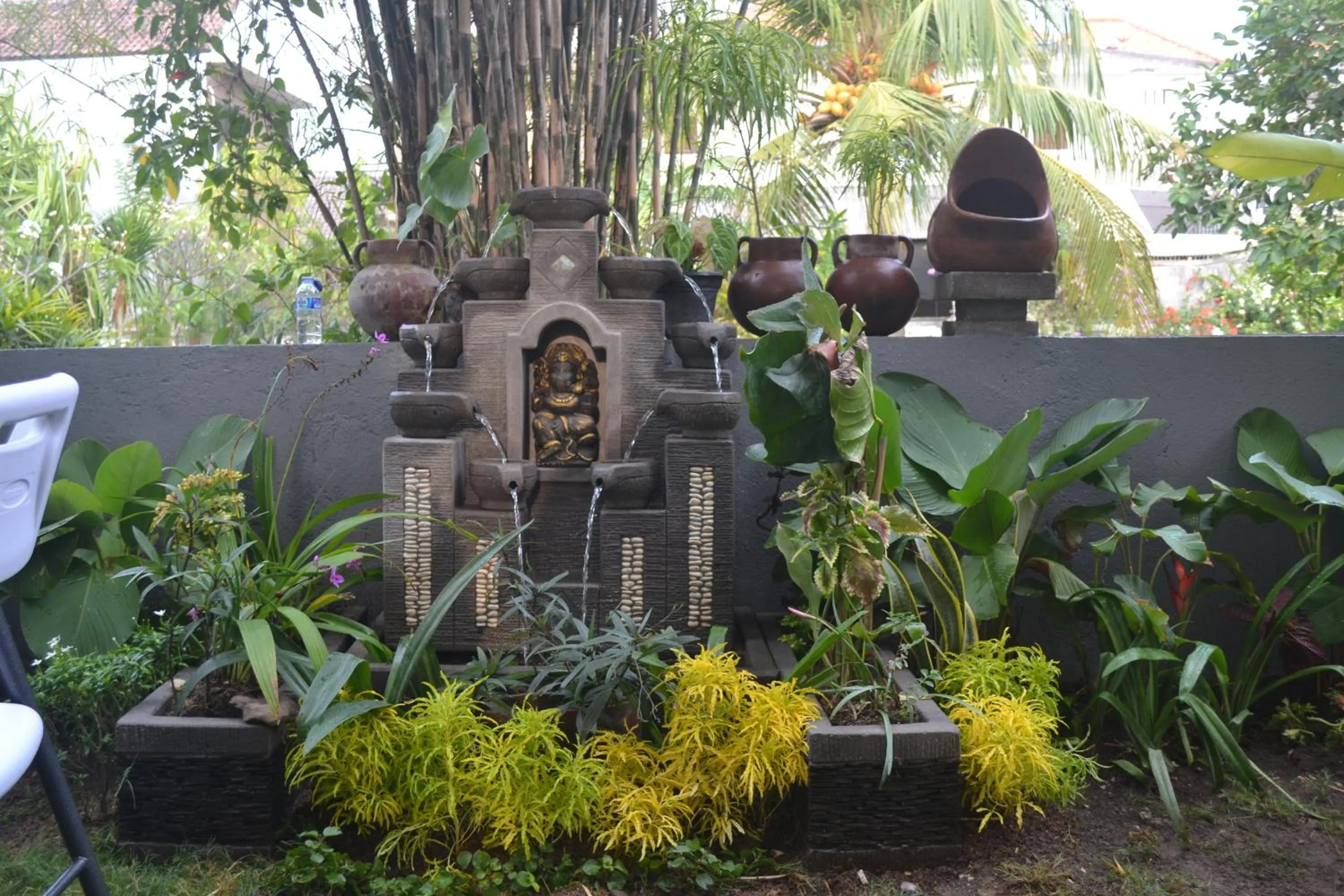 Garden in Master Homestay