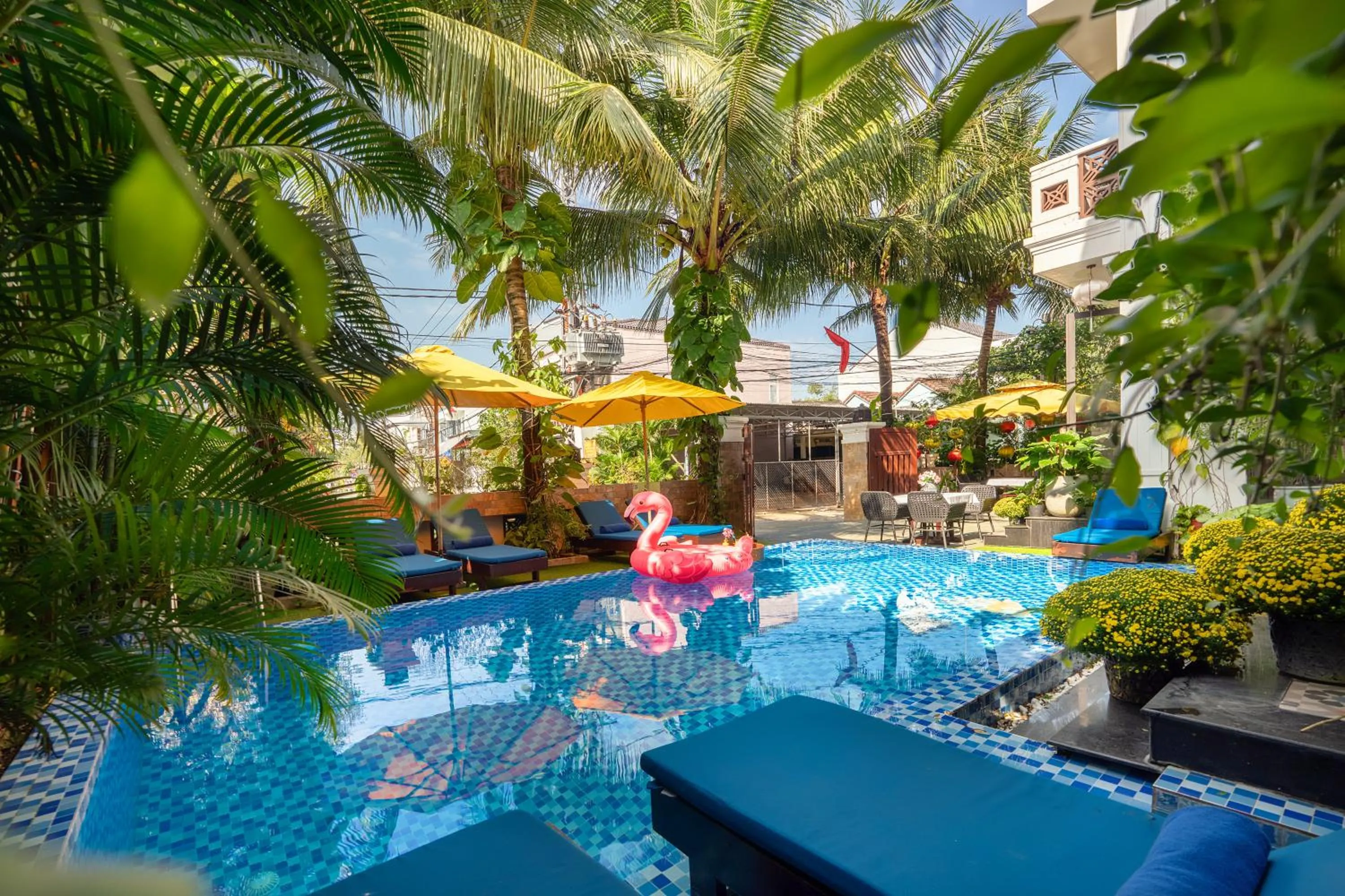 Swimming pool in Hoi An Discovery Villa