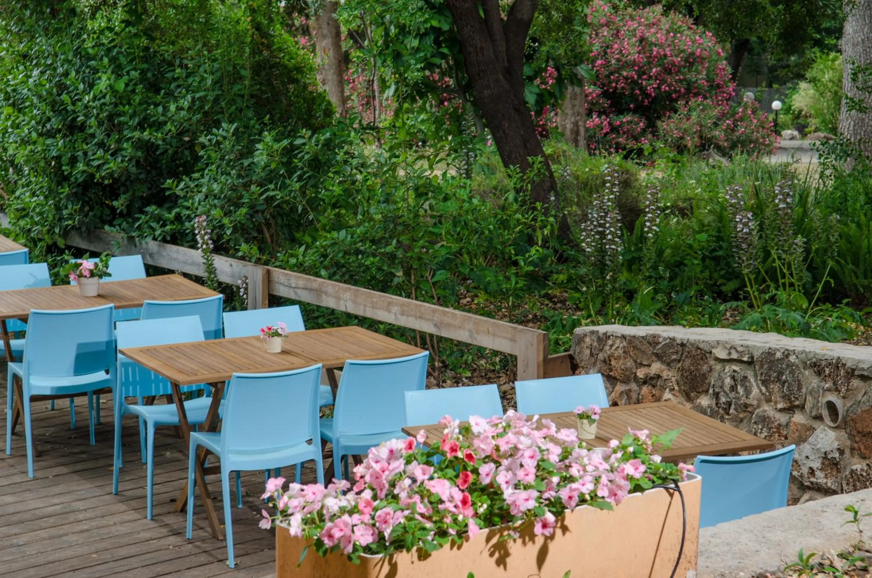 Restaurant/places to eat in Travel Hotel Eilon