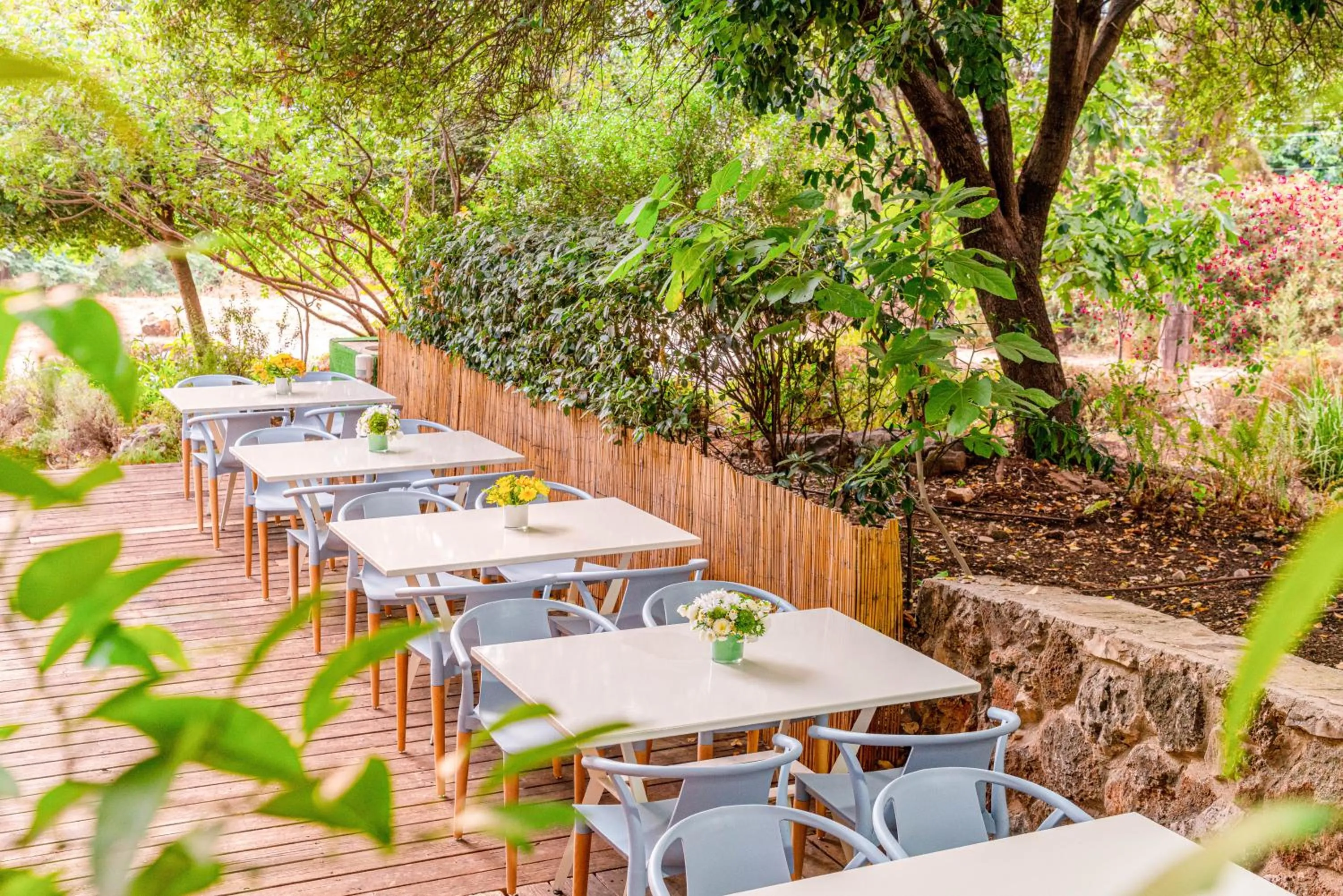 Patio in Travel Hotel Eilon