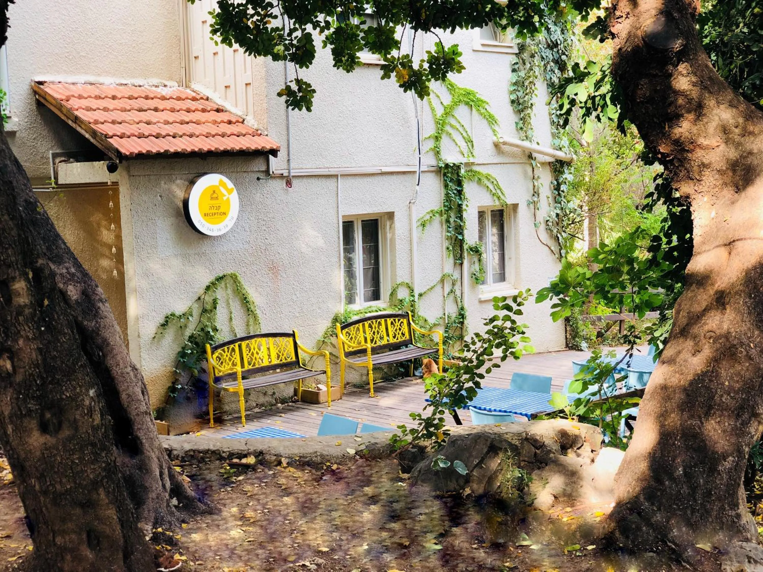 Garden in Travel Hotel Eilon