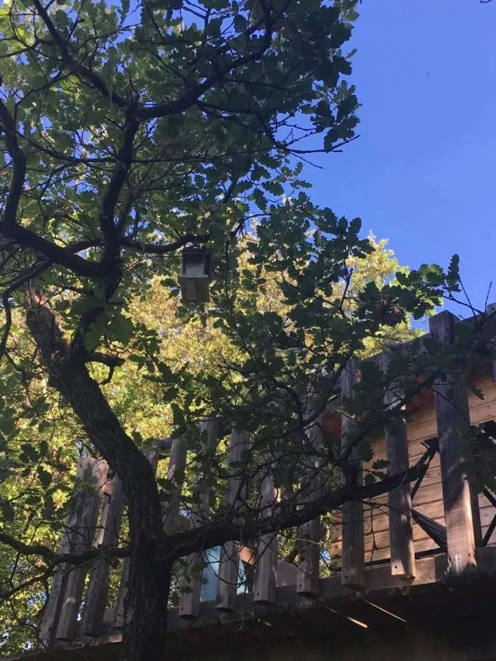 Property building in La cabane des amoureux