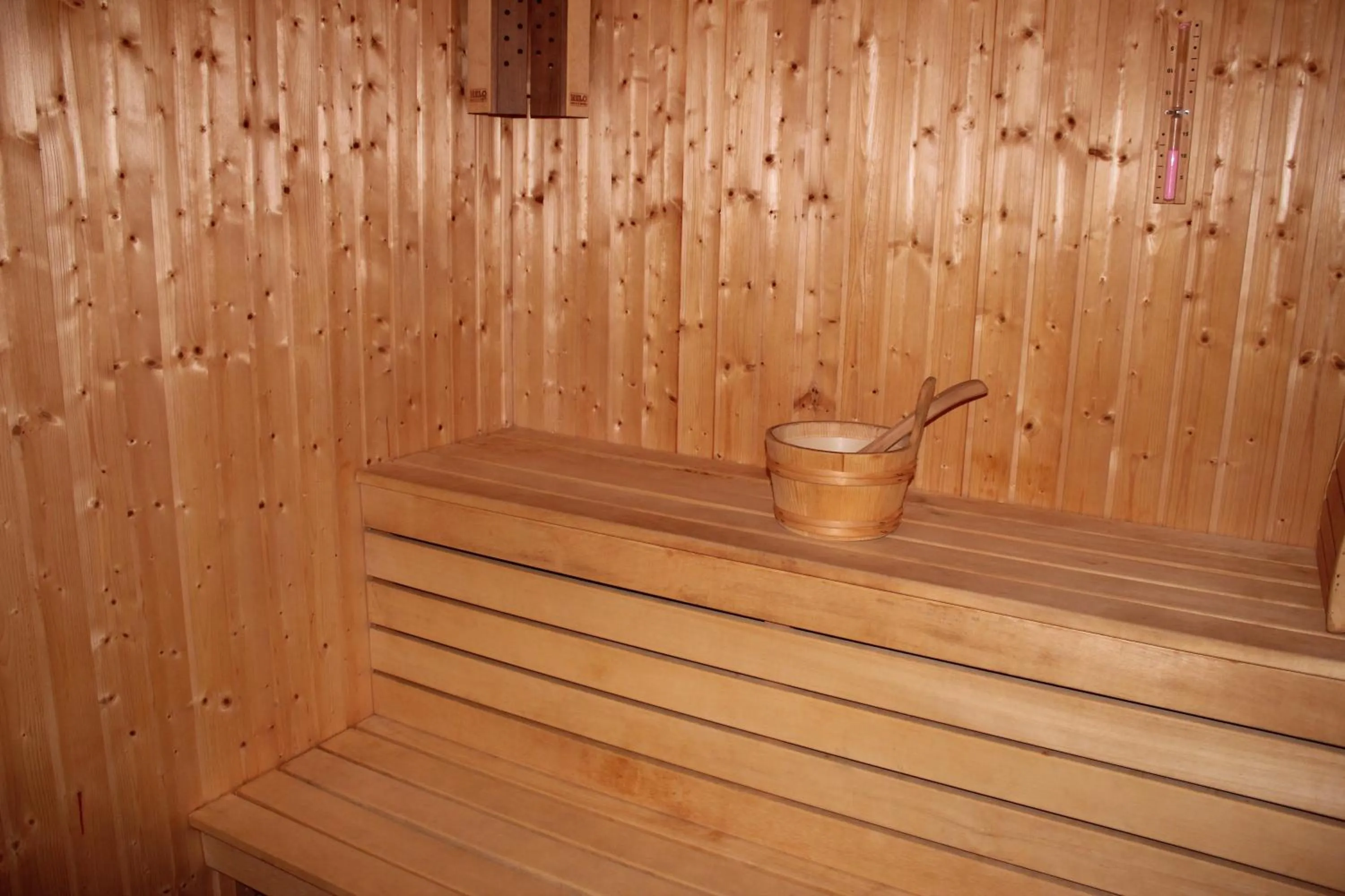 Sauna in Nevada Aparthotel