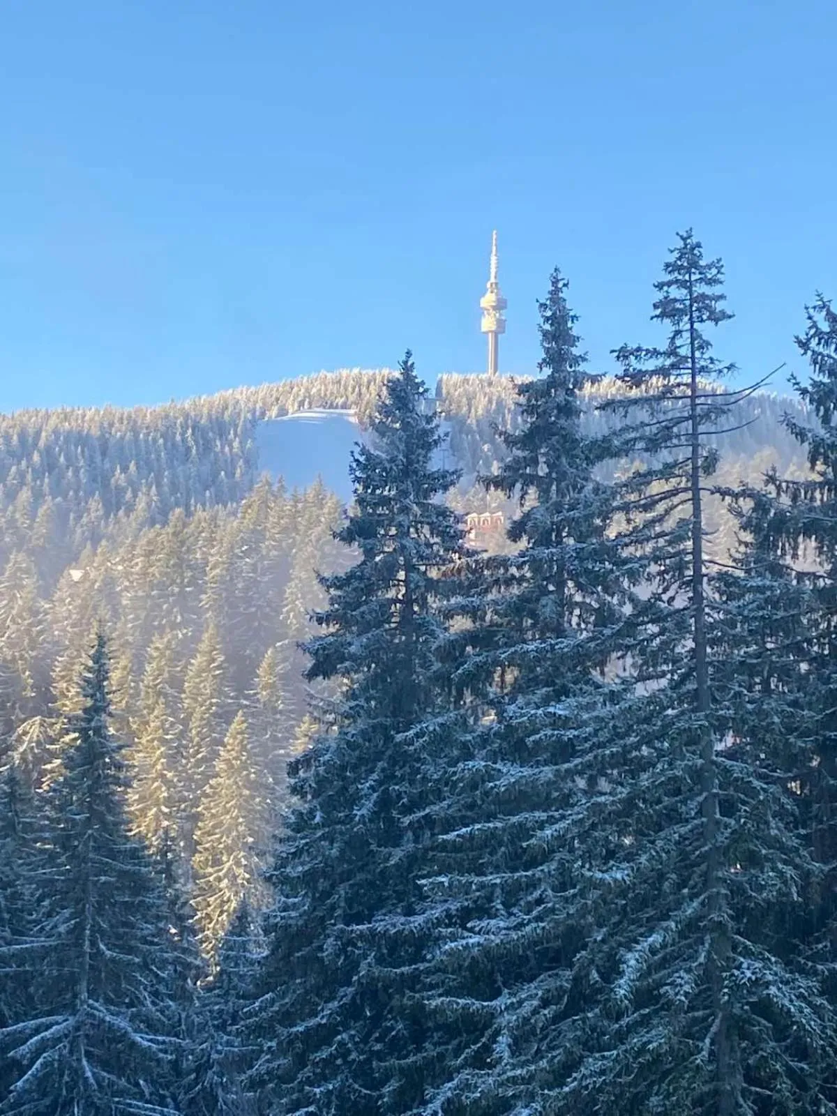 City view in Nevada Aparthotel