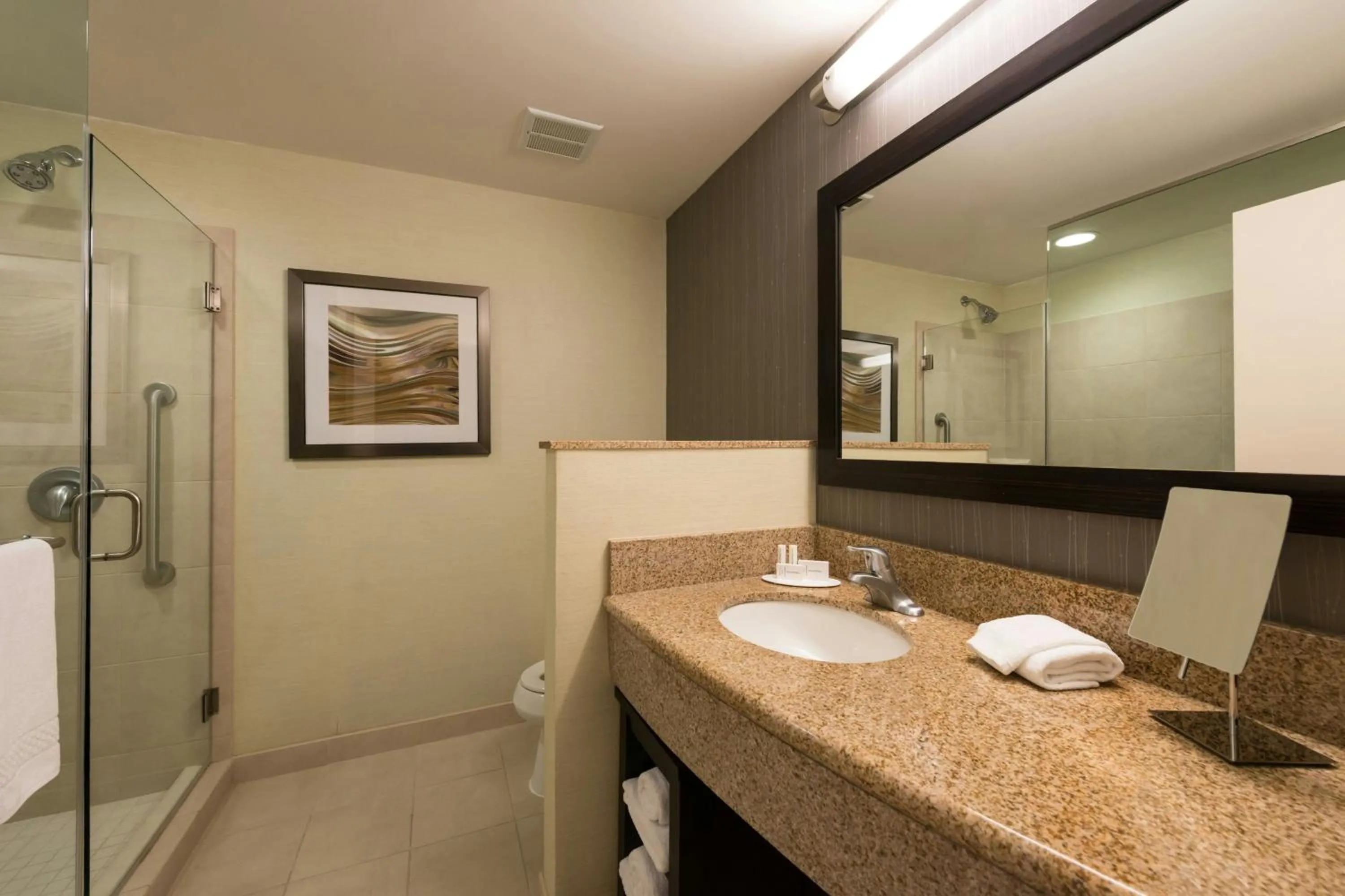 Bathroom in Courtyard Clemson