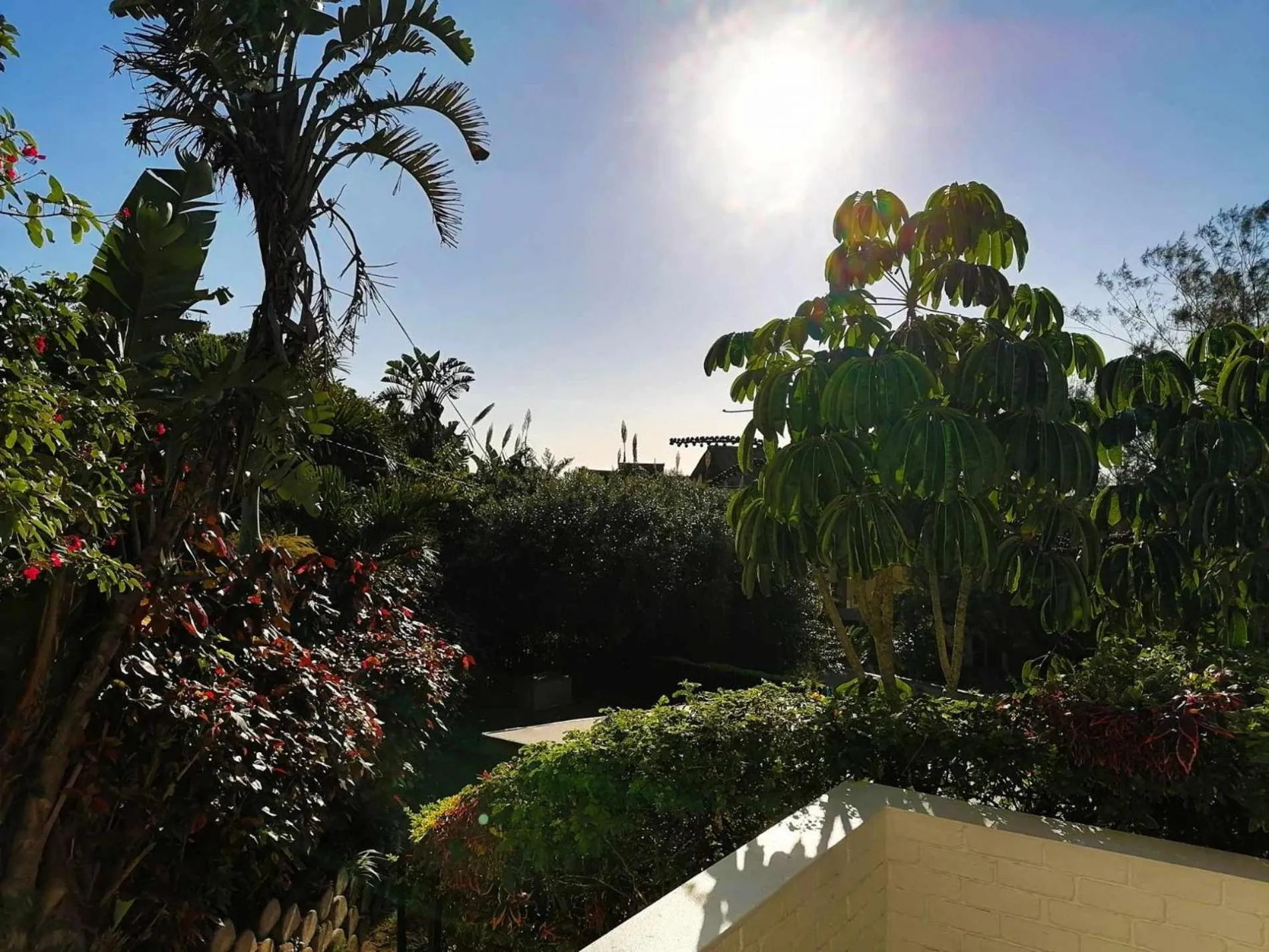 Garden view in Boathouse Bed & Biscuit - Lower Deck
