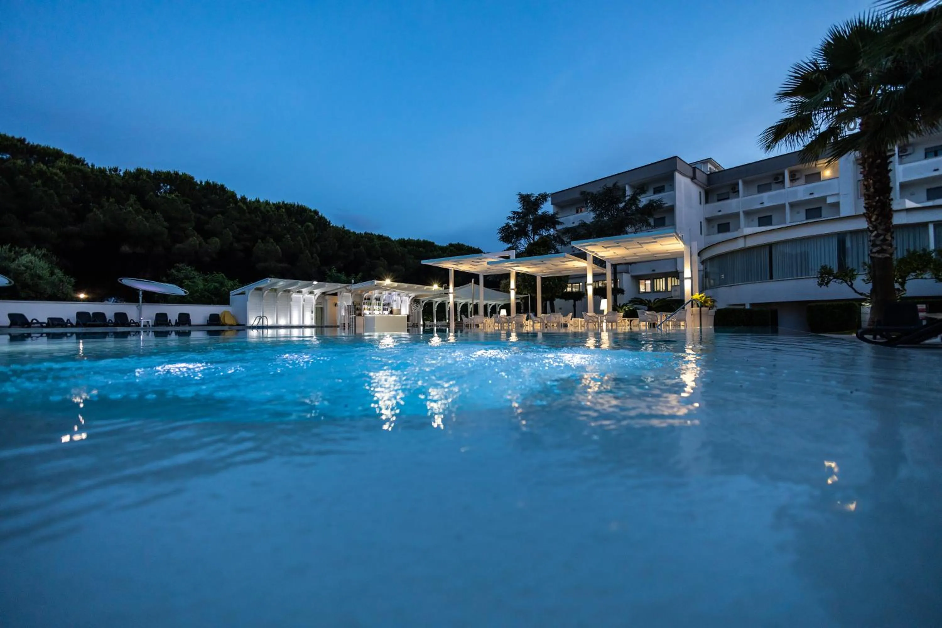 Swimming pool in Hotel Le Palme