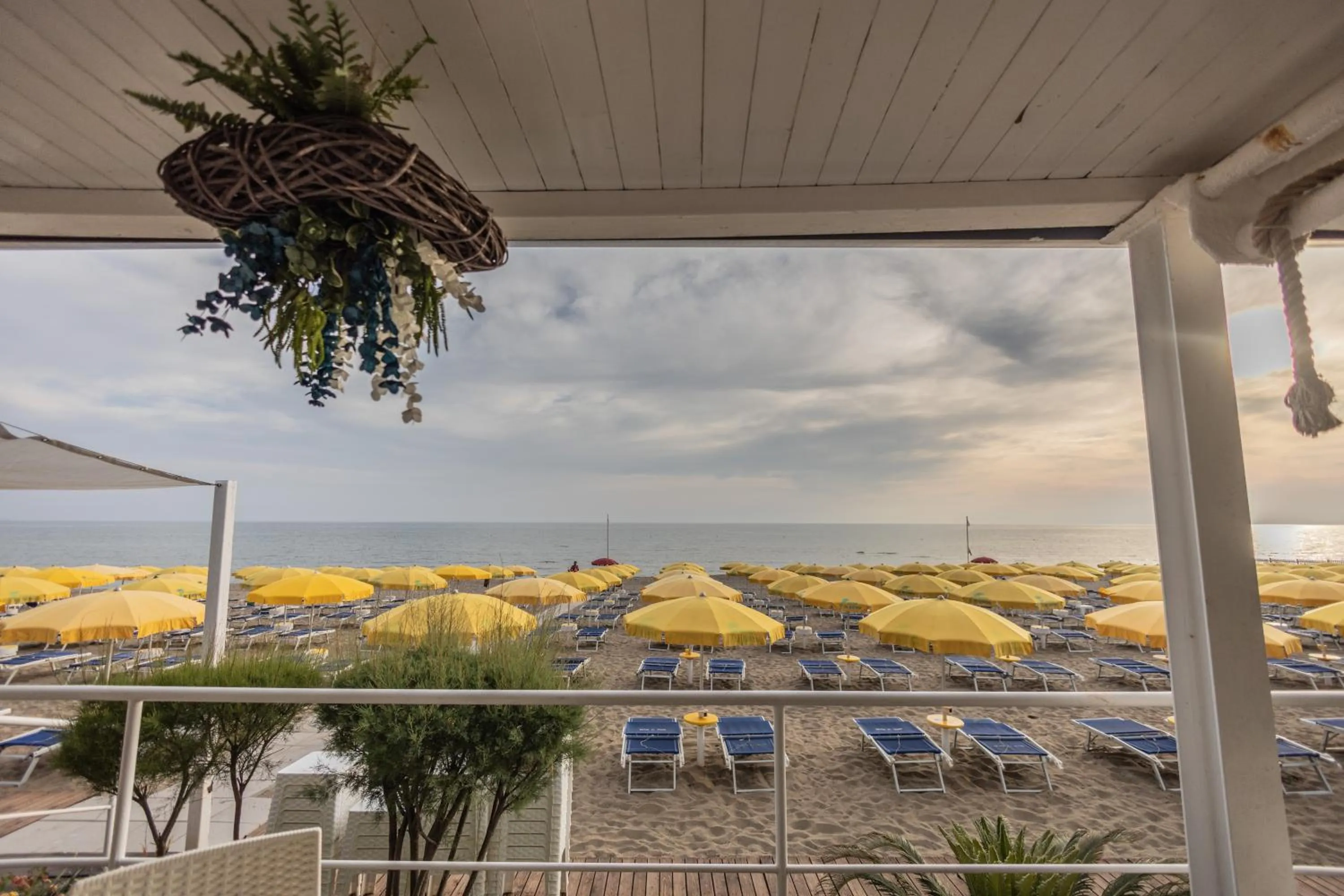 Beach in Hotel Le Palme