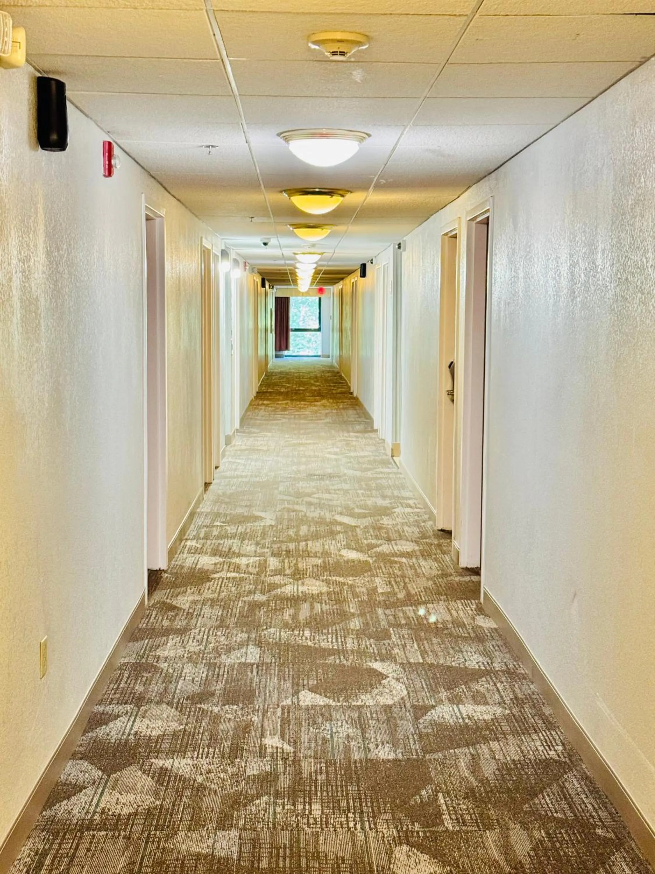 Property building in Motel 6-Milford, CT