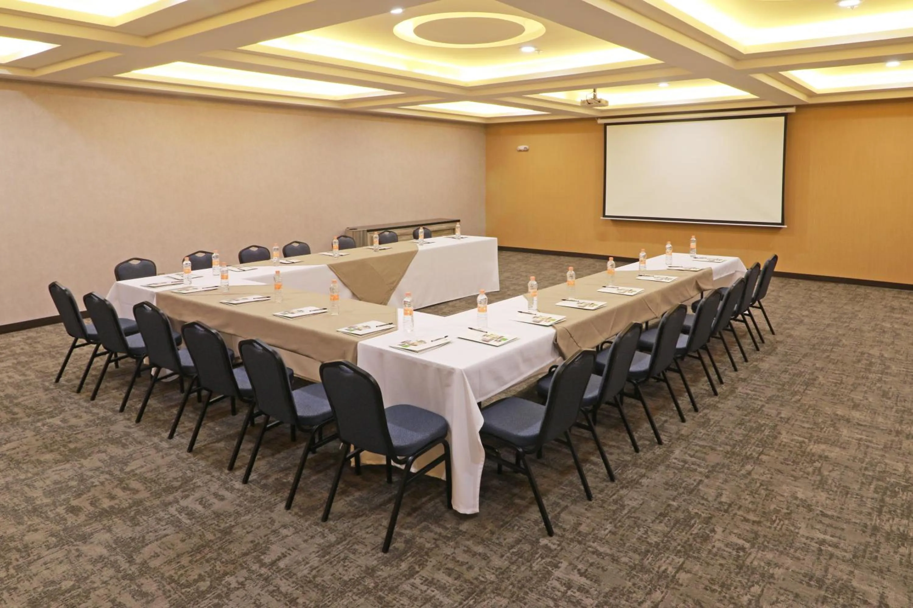 Meeting/conference room in Holiday Inn - Ciudad Juarez by IHG